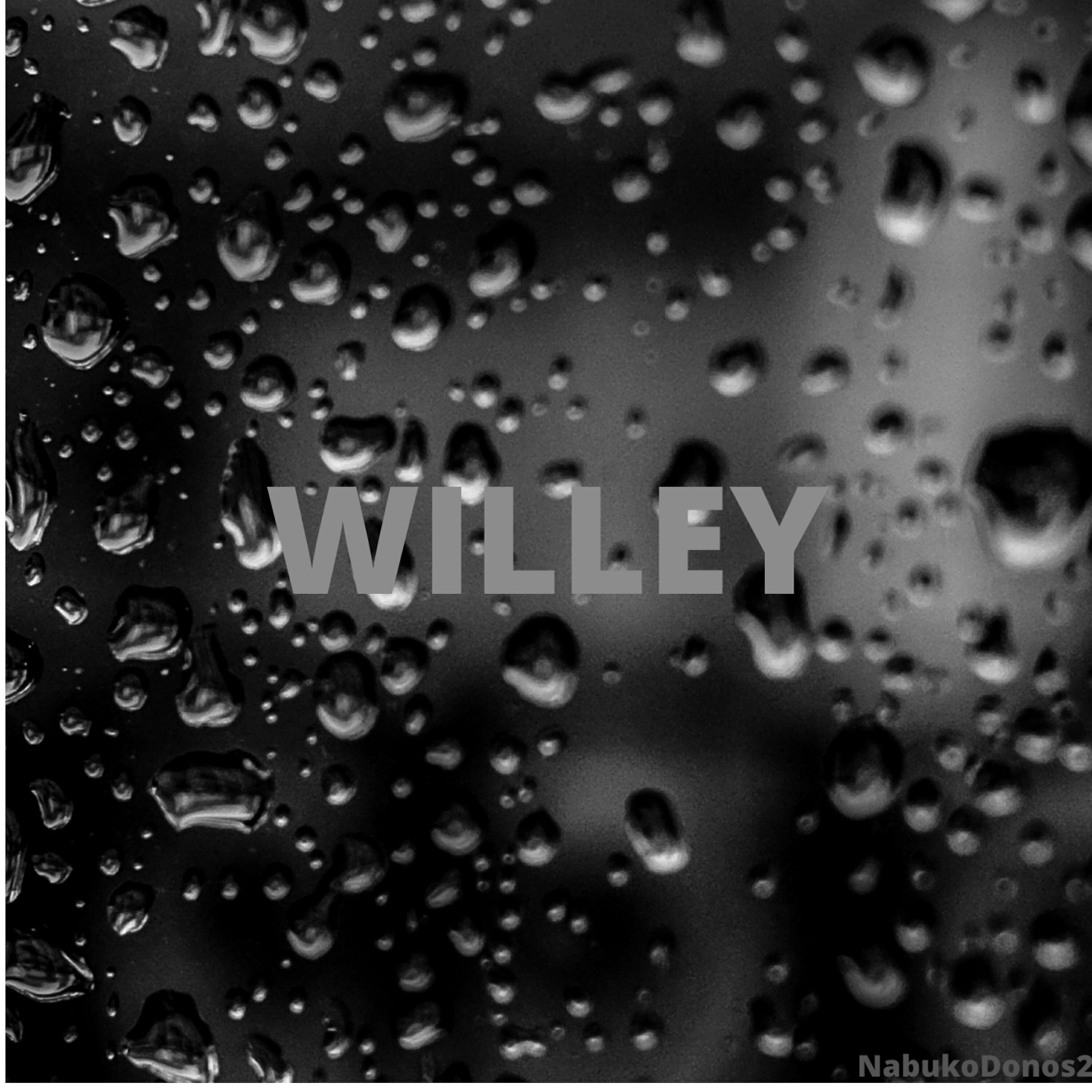 Релиз Willey