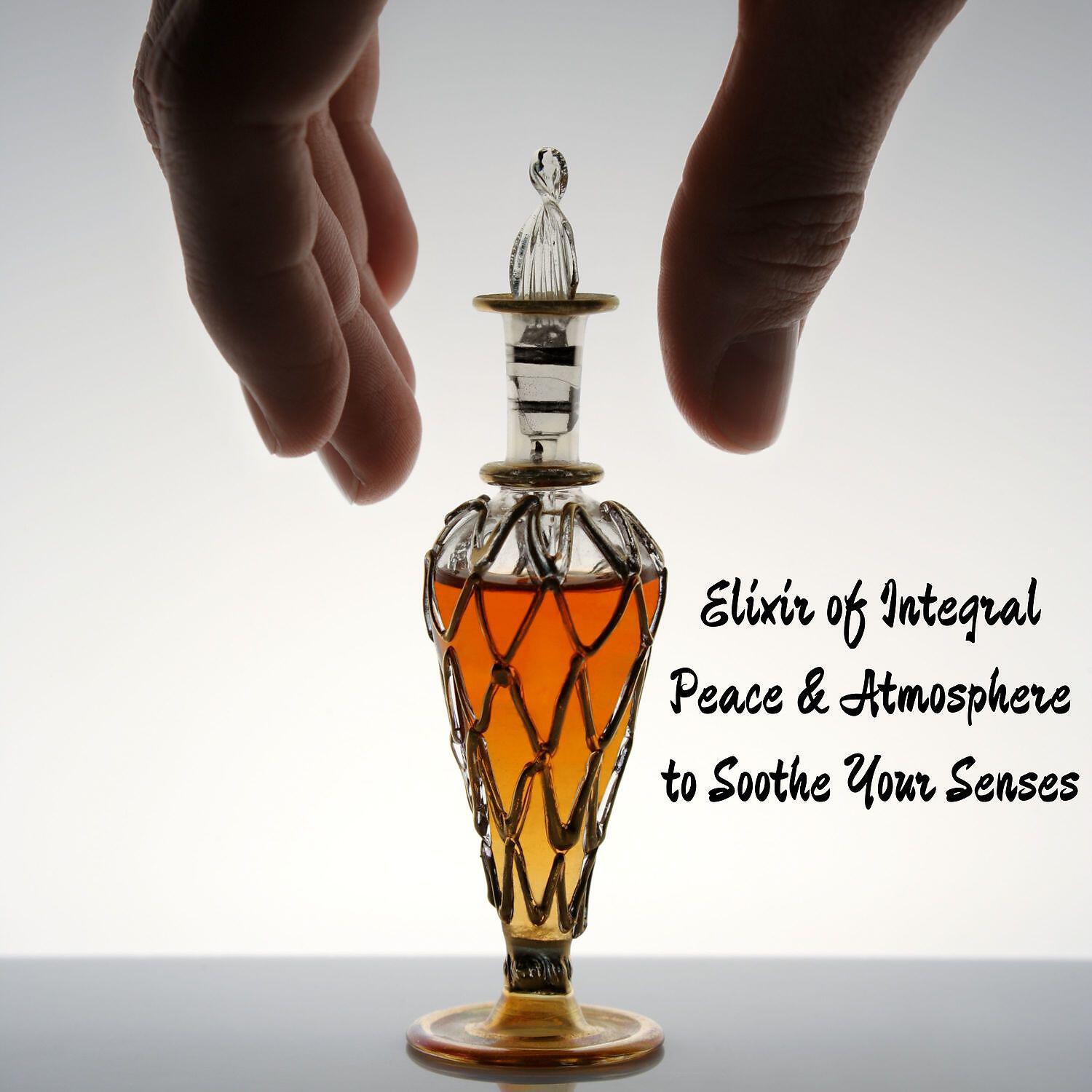 Релиз Elixir of Integral Peace & Atmosphere to Soothe Your Senses