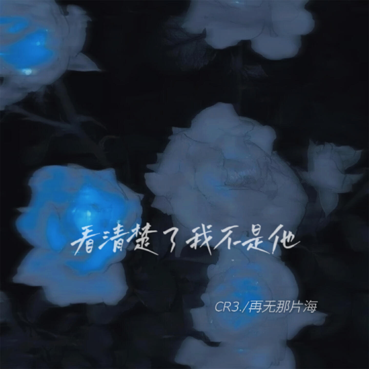 再无那片海