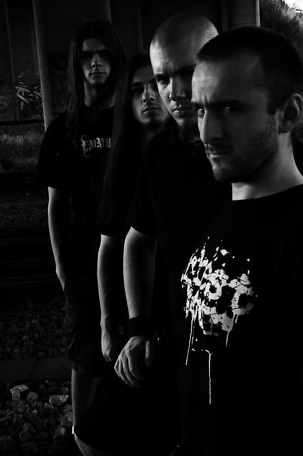 Decomposing Entity