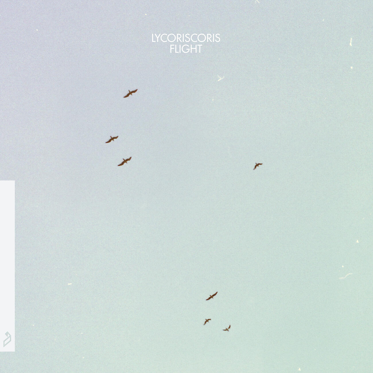 Релиз Flight