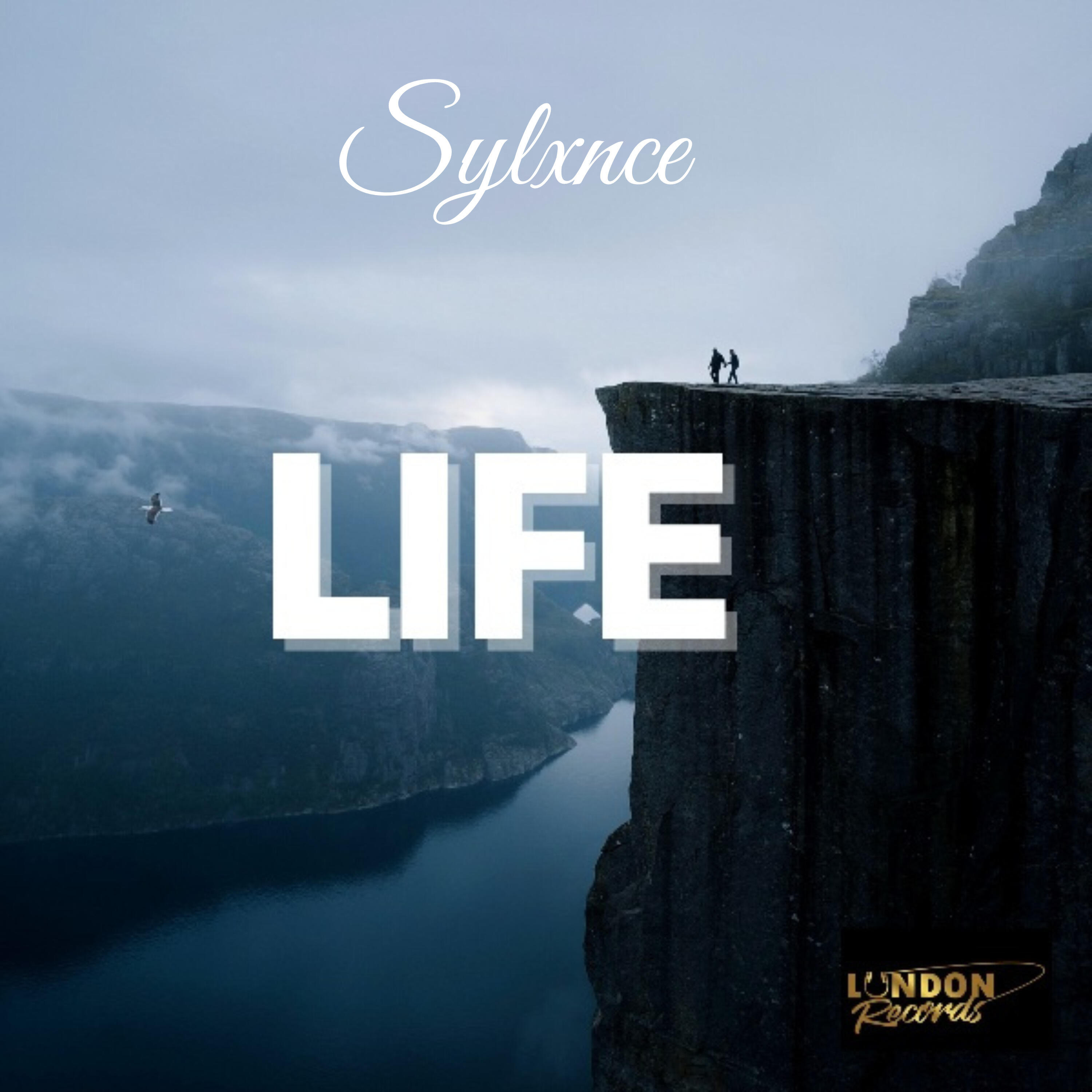 Постер альбома Life