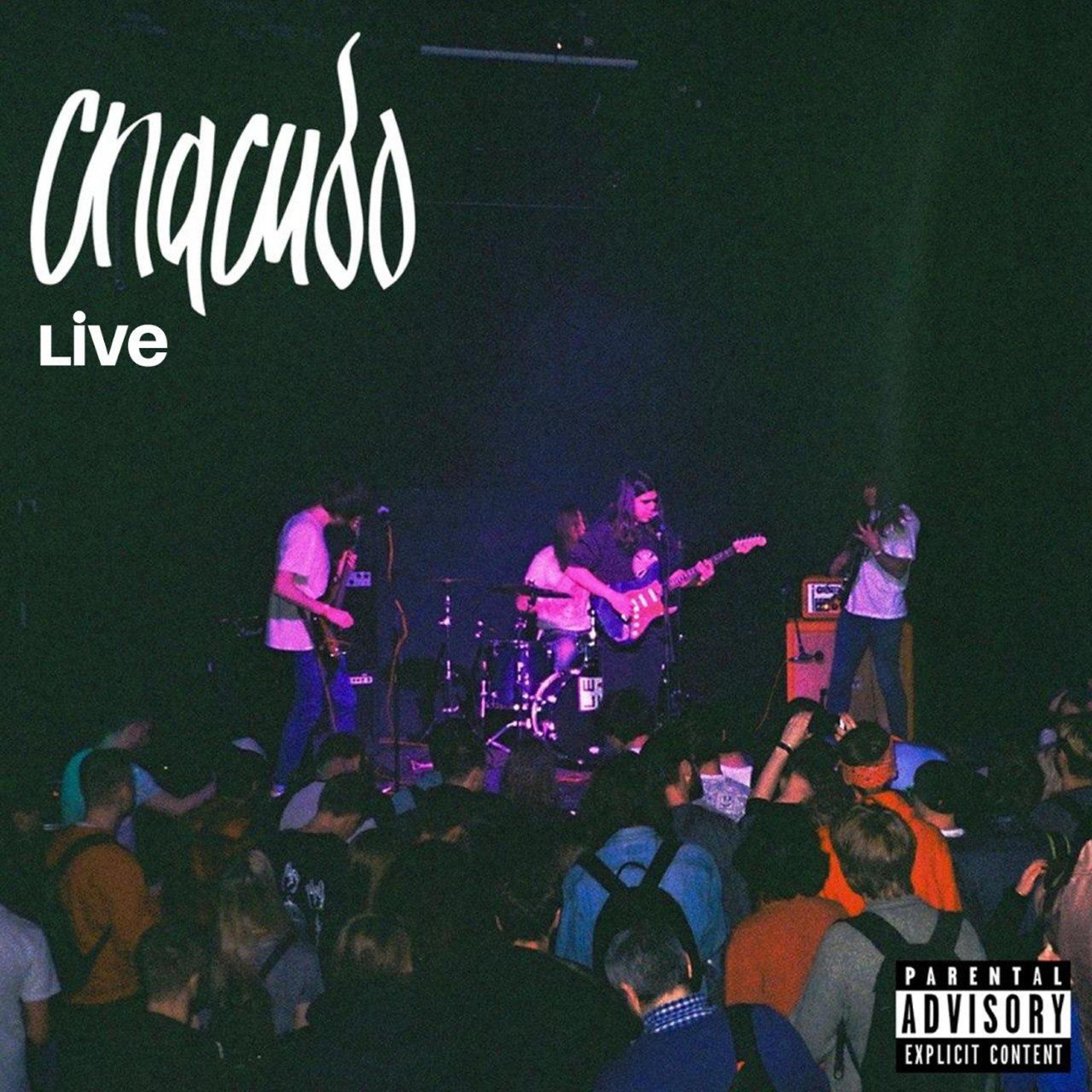 Релиз Концерт в Шагах (Live)