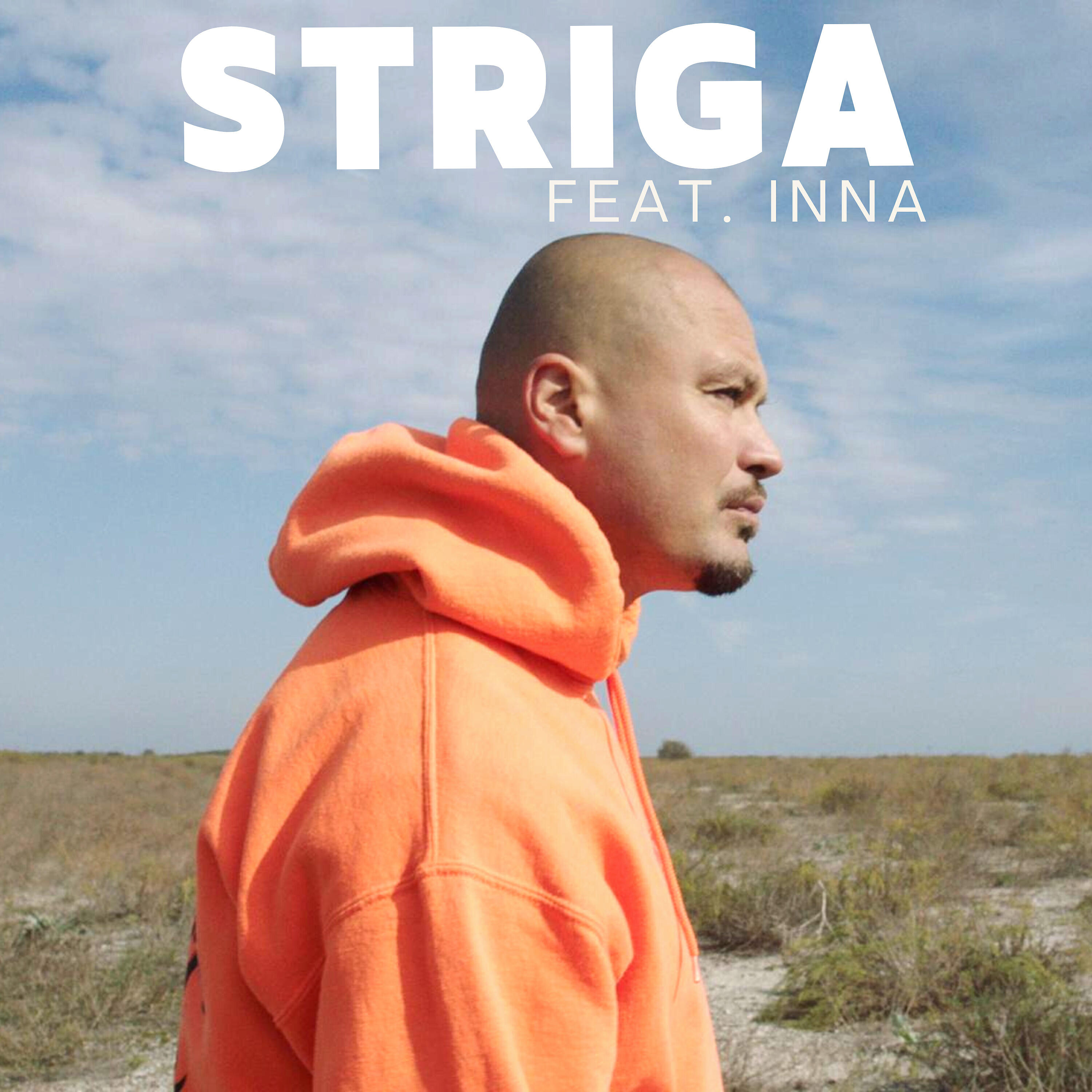 Релиз Striga