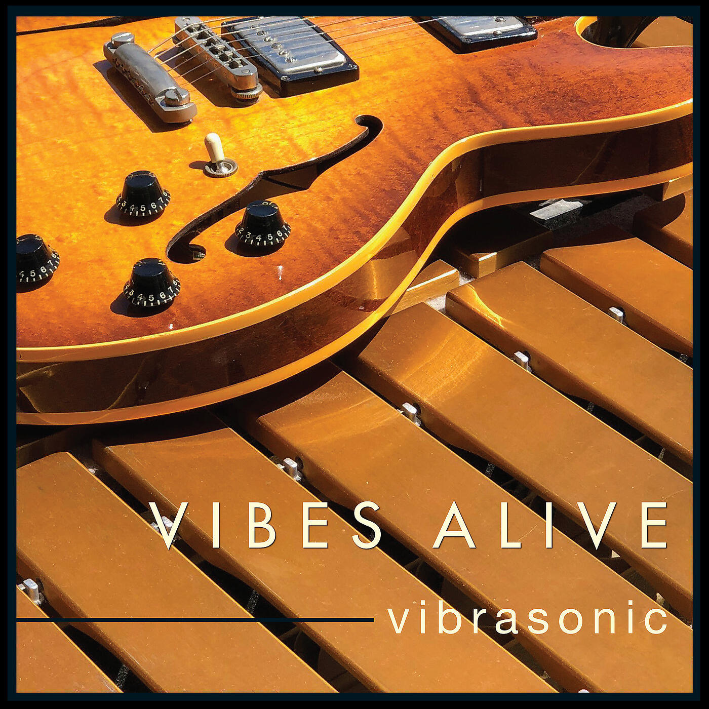 Релиз Vibrasonic