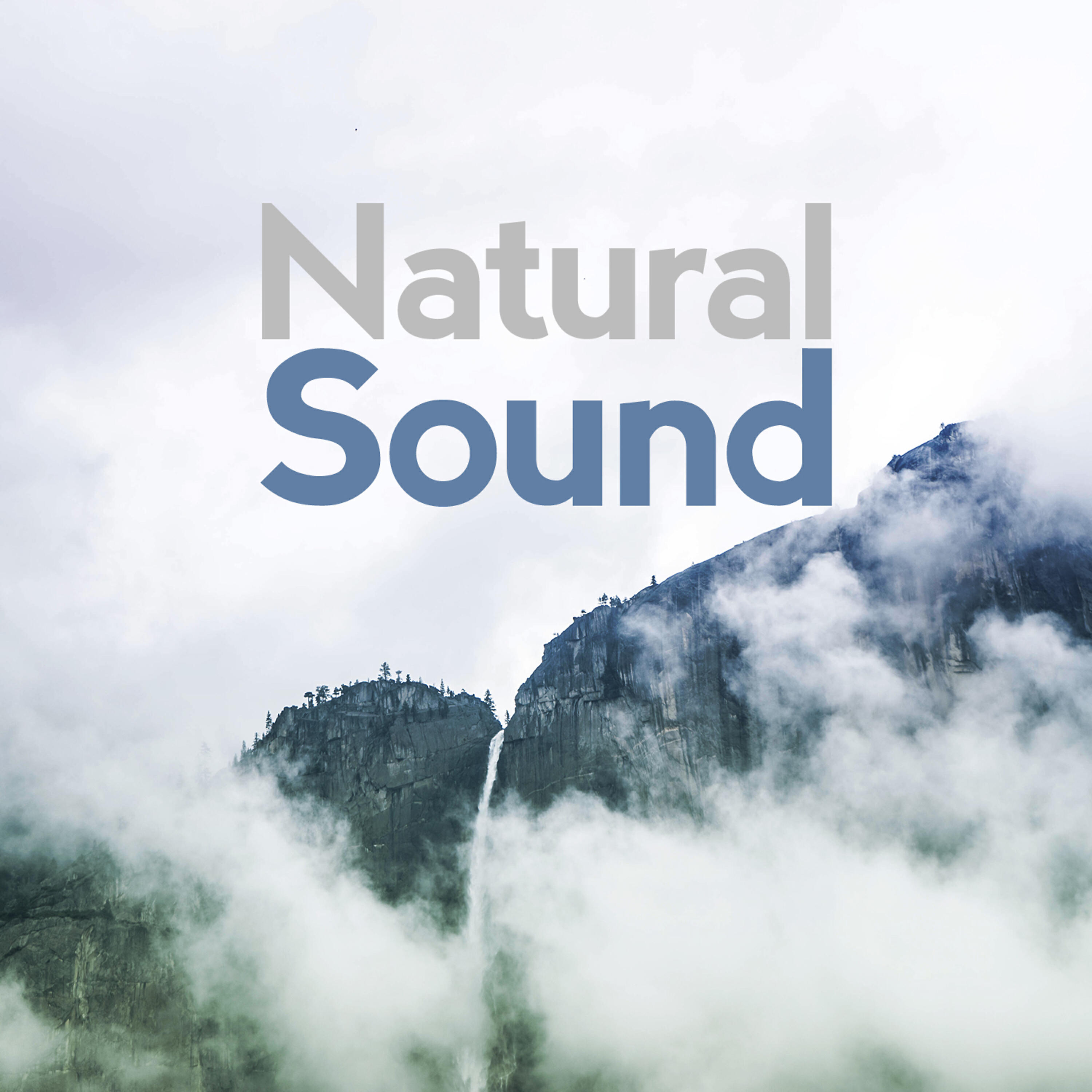 Релиз Natural Sound