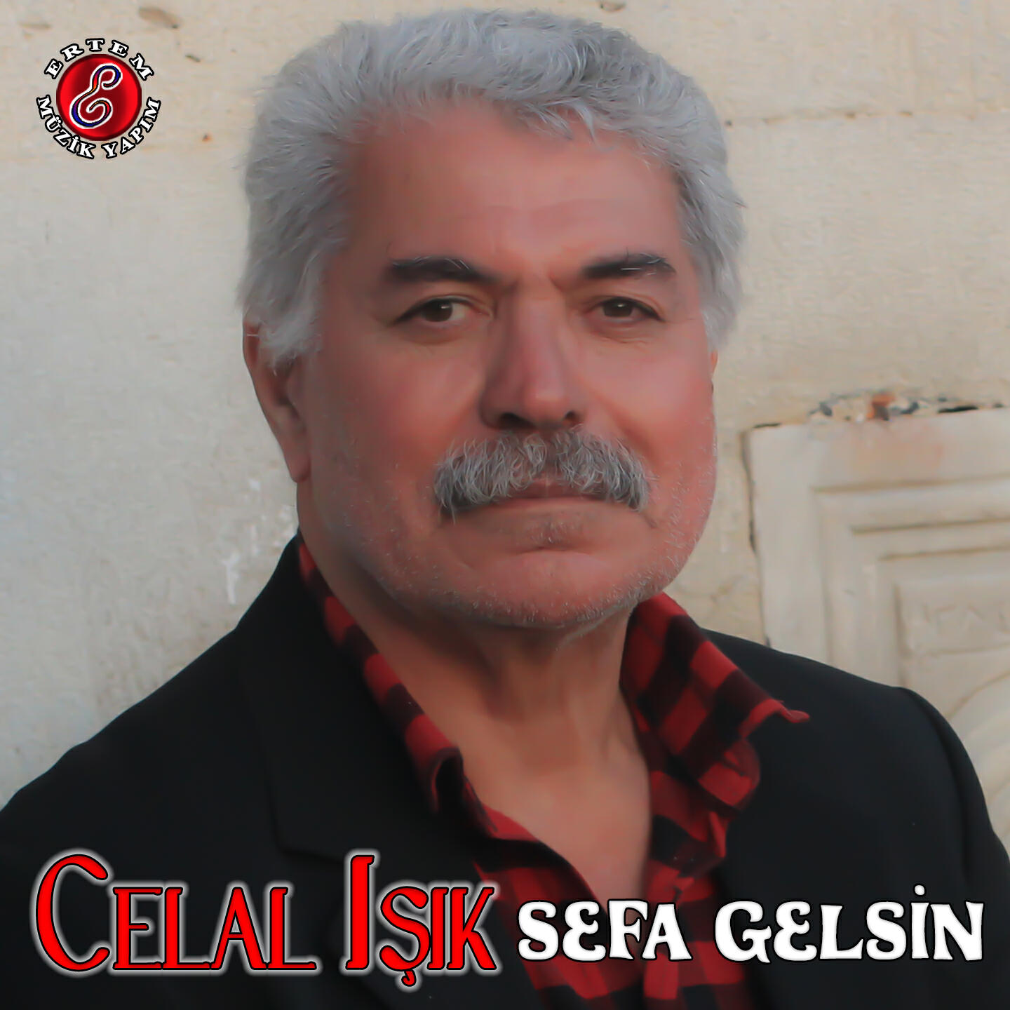 Релиз Sefa Gelsin