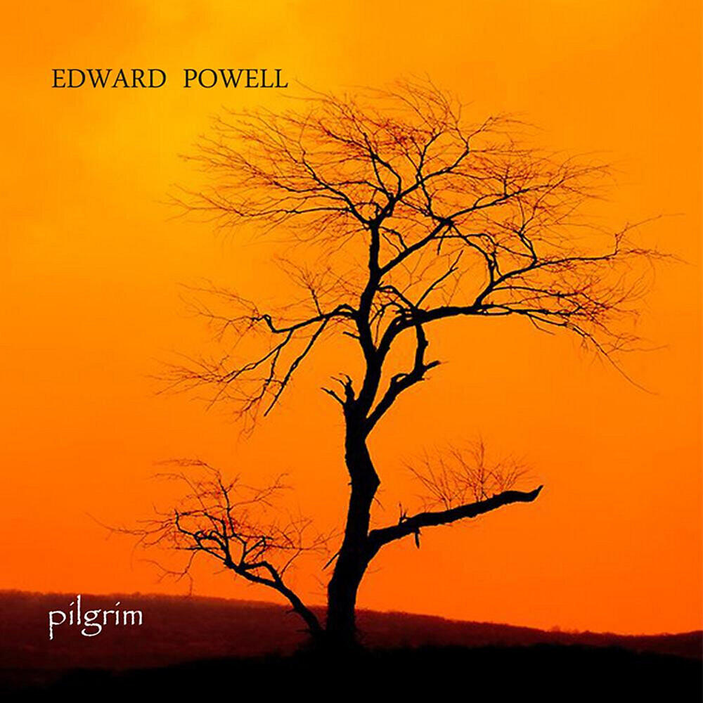 Релиз Pilgrim
