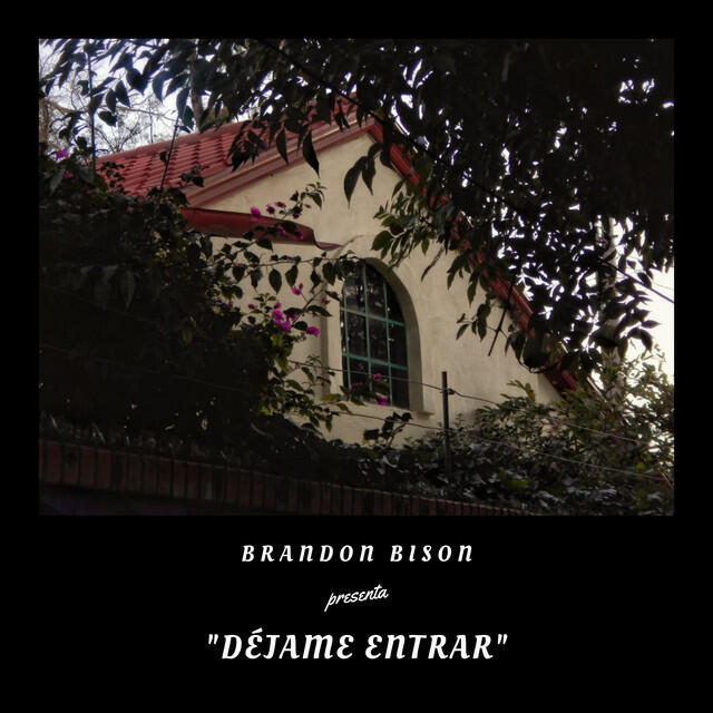 Релиз Déjame Entrar