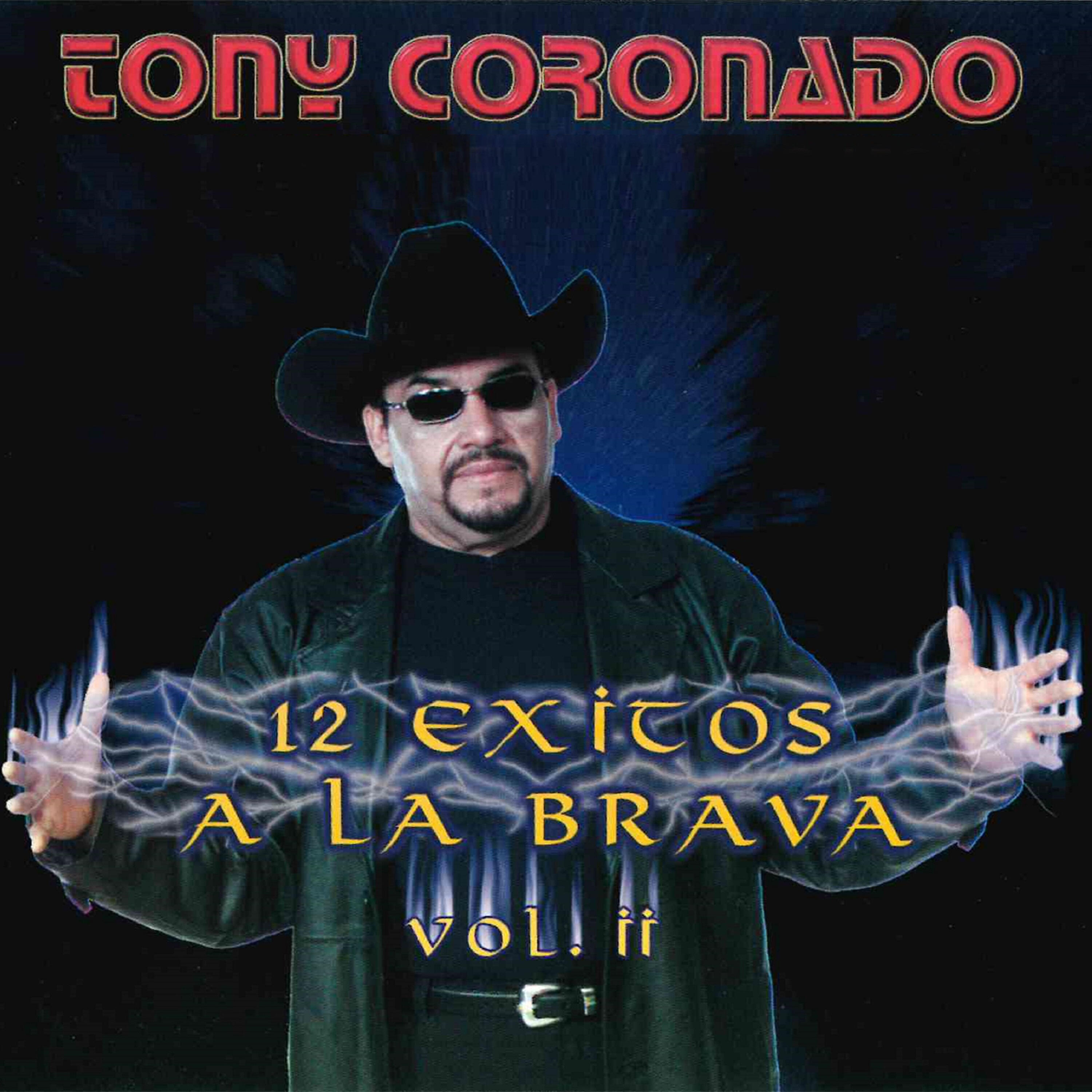 Релиз 12 Exitos a la Brava, Vol. 2