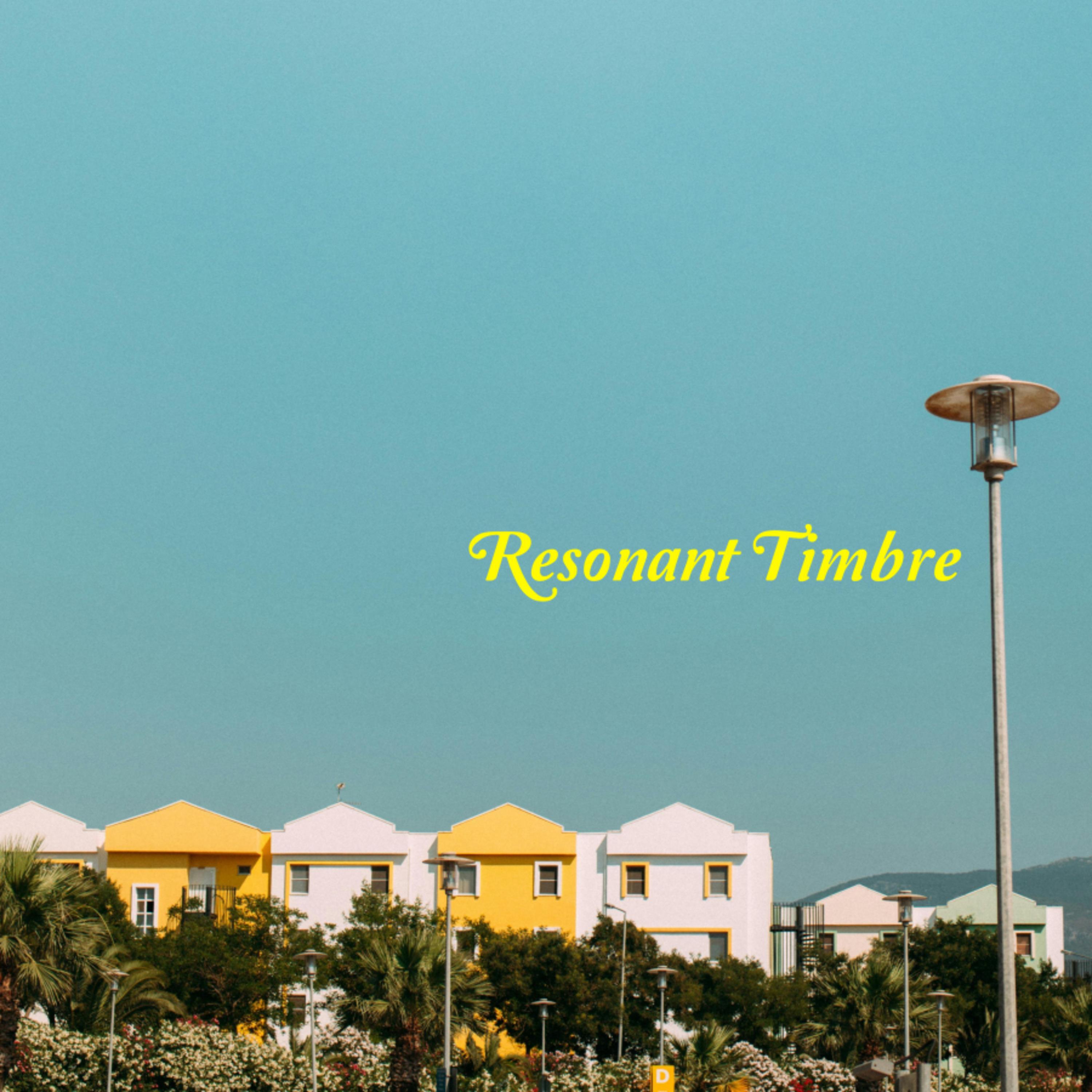 Релиз Resonant Timbre