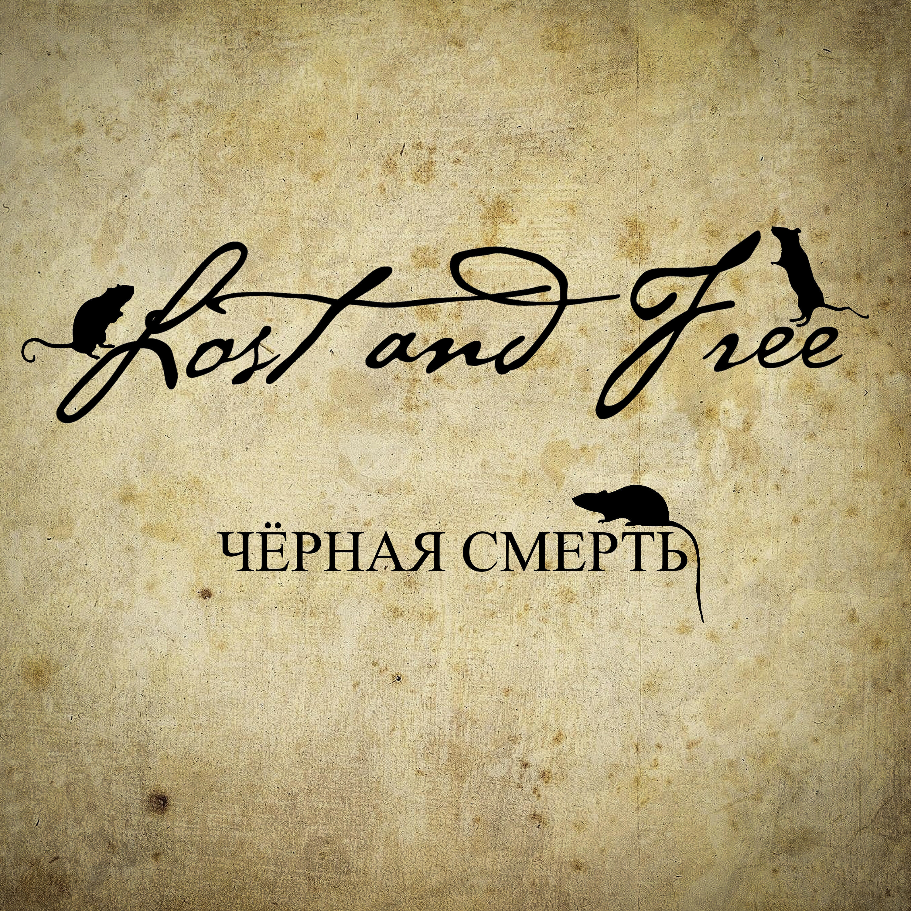 Релиз Чёрная смерть