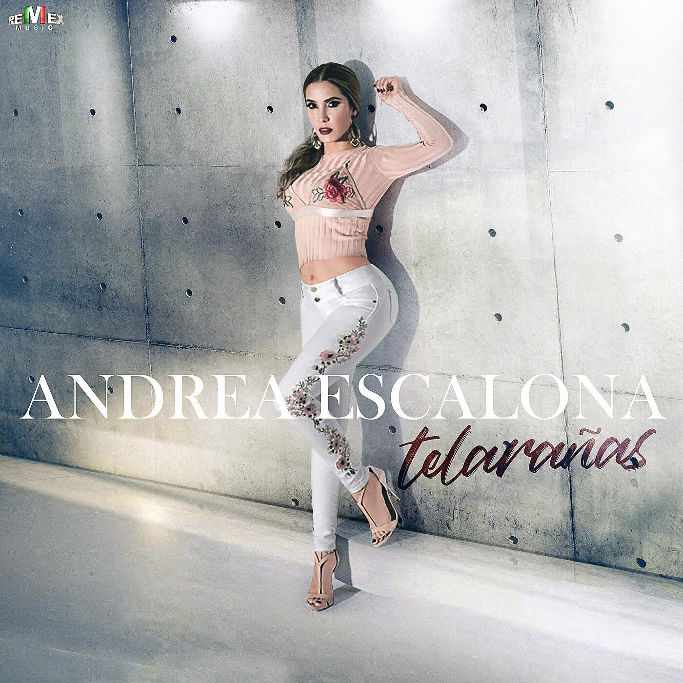 Релиз Telarañas