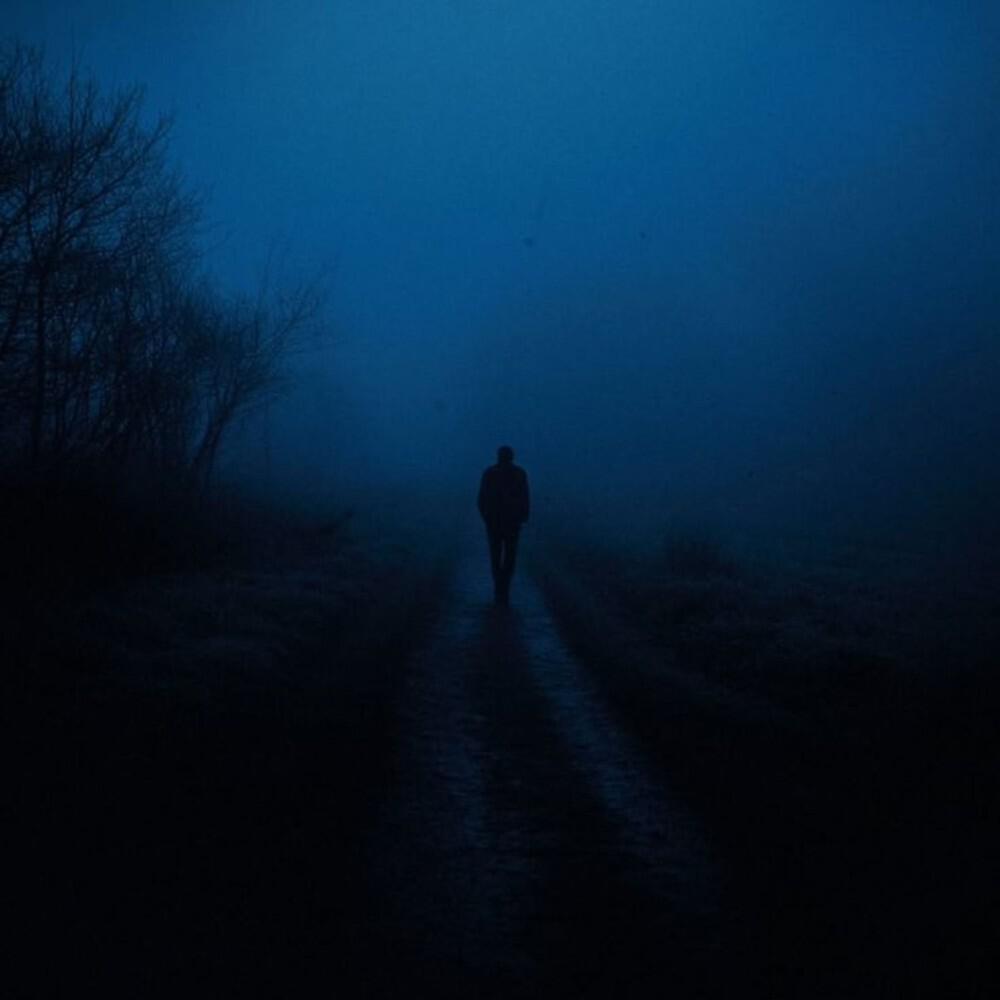 Релиз Fading Memories