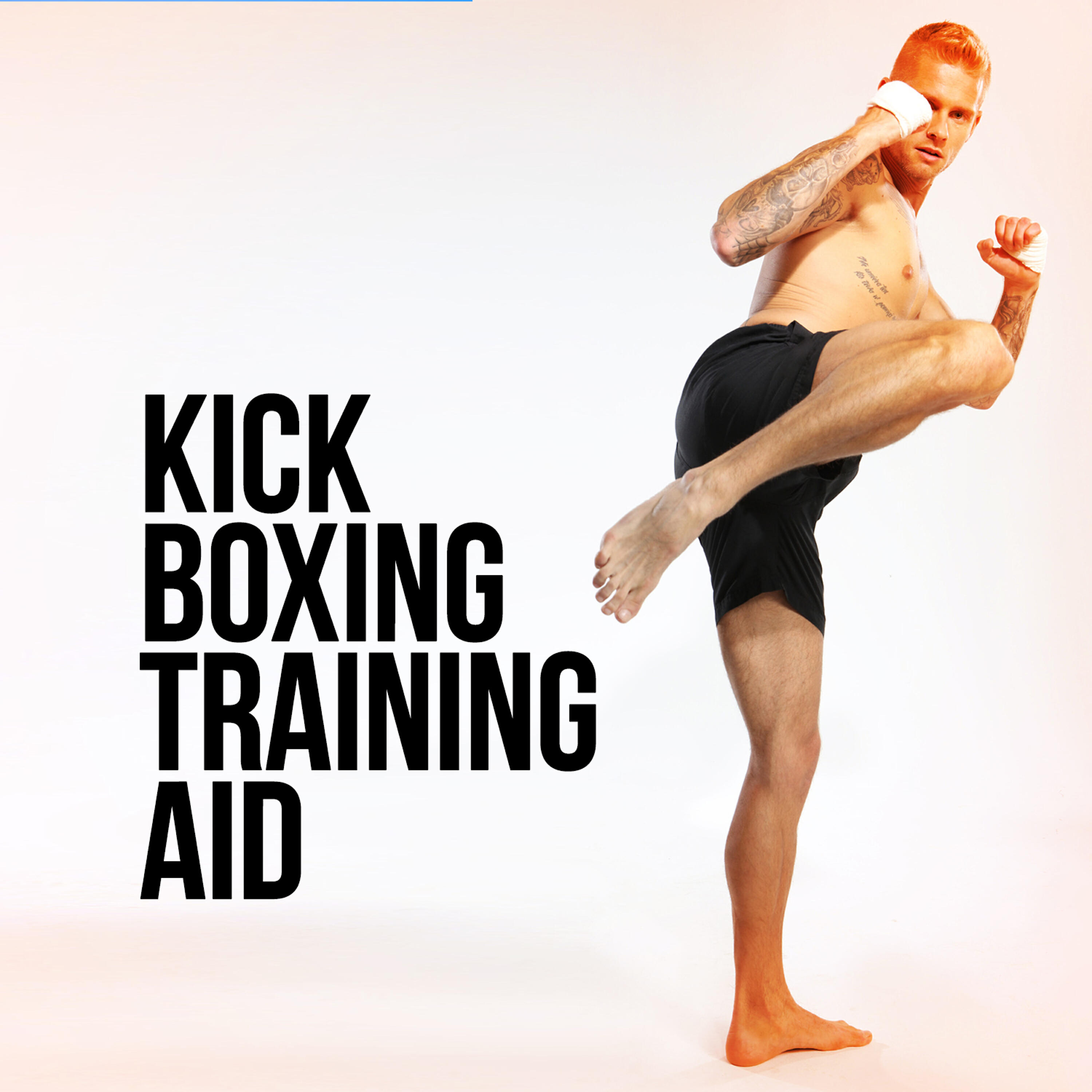 Релиз Kick Boxing Training Aid