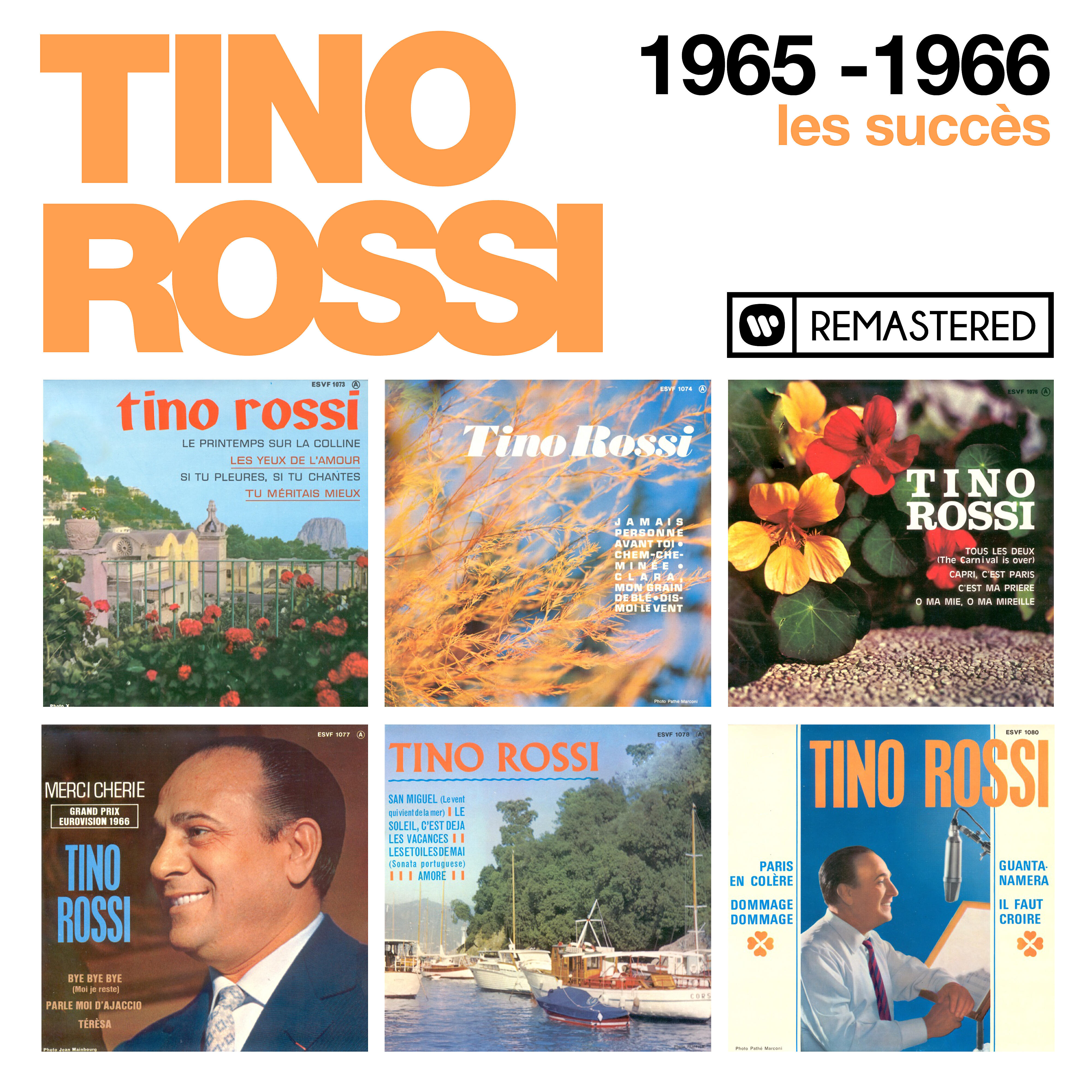 Релиз 1965-1966 : Les succès (Remasterisé en 2018)