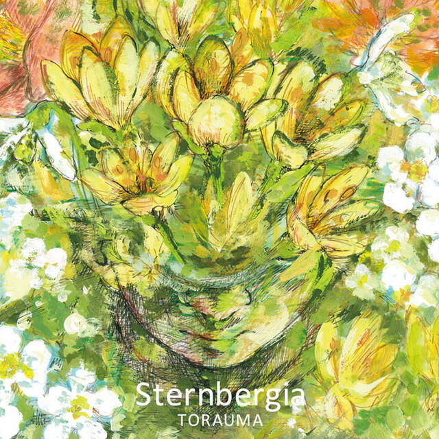 Релиз Sternbergia