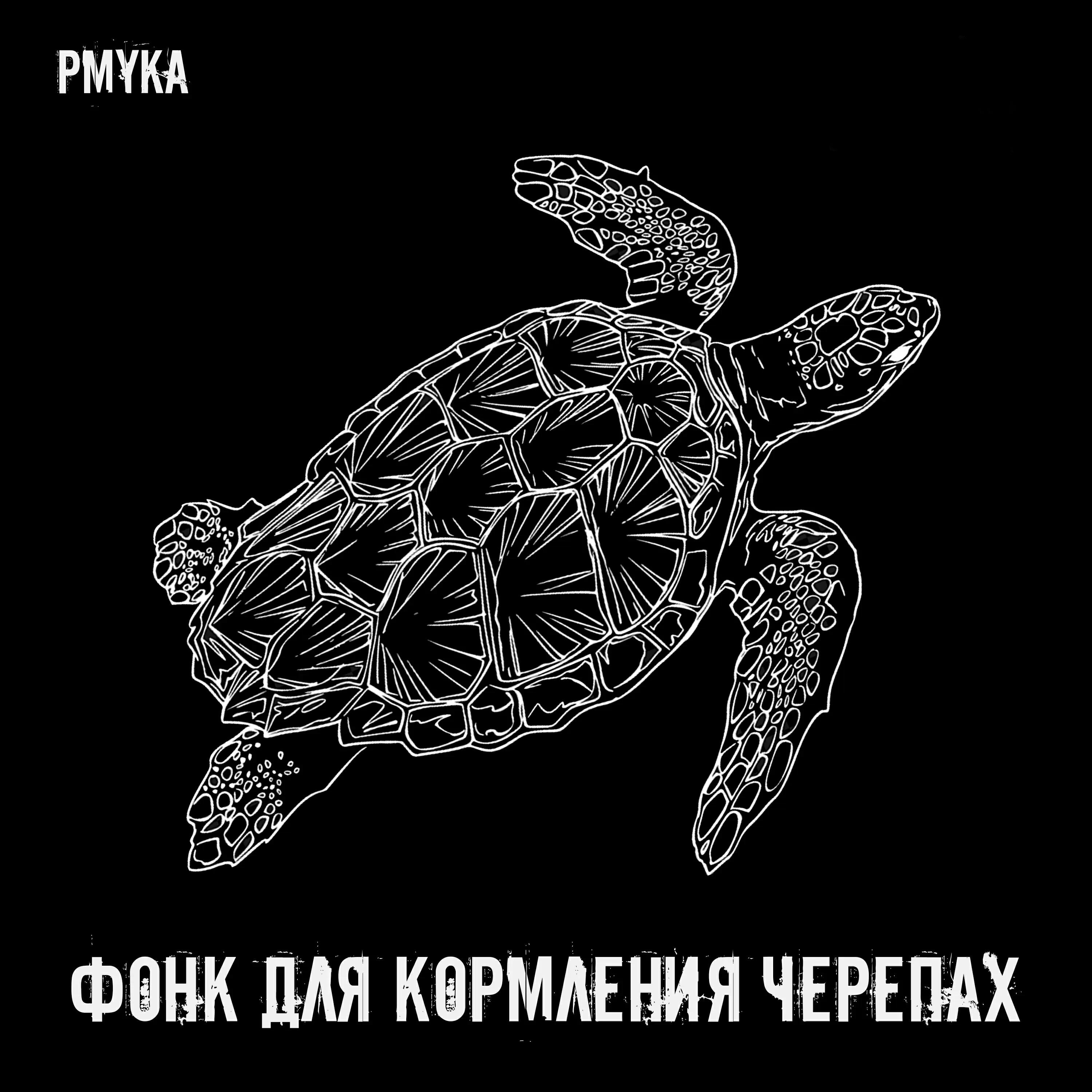 Релиз Фонк для кормления черепах