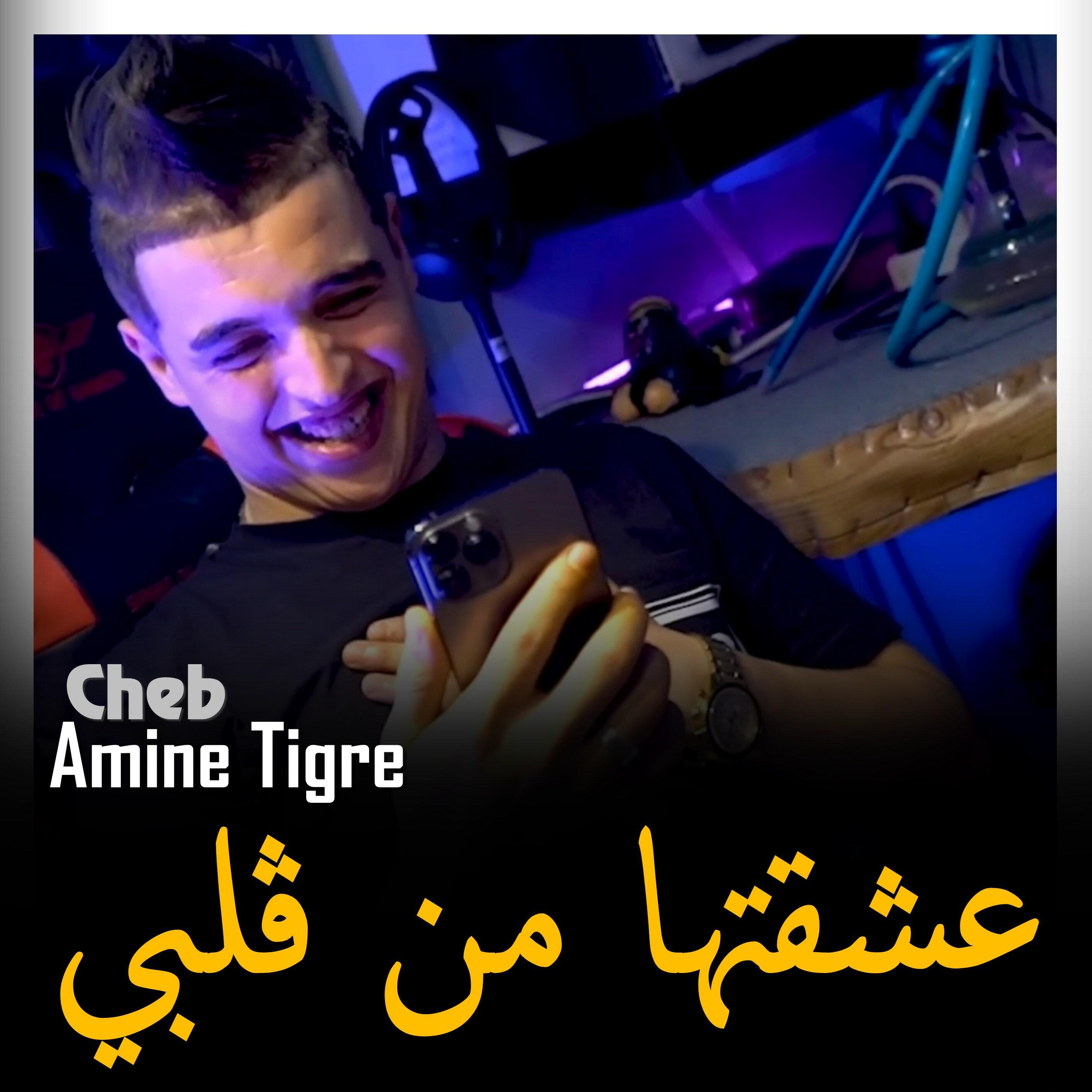 Релиз A3cha9Tha Mal Galbi