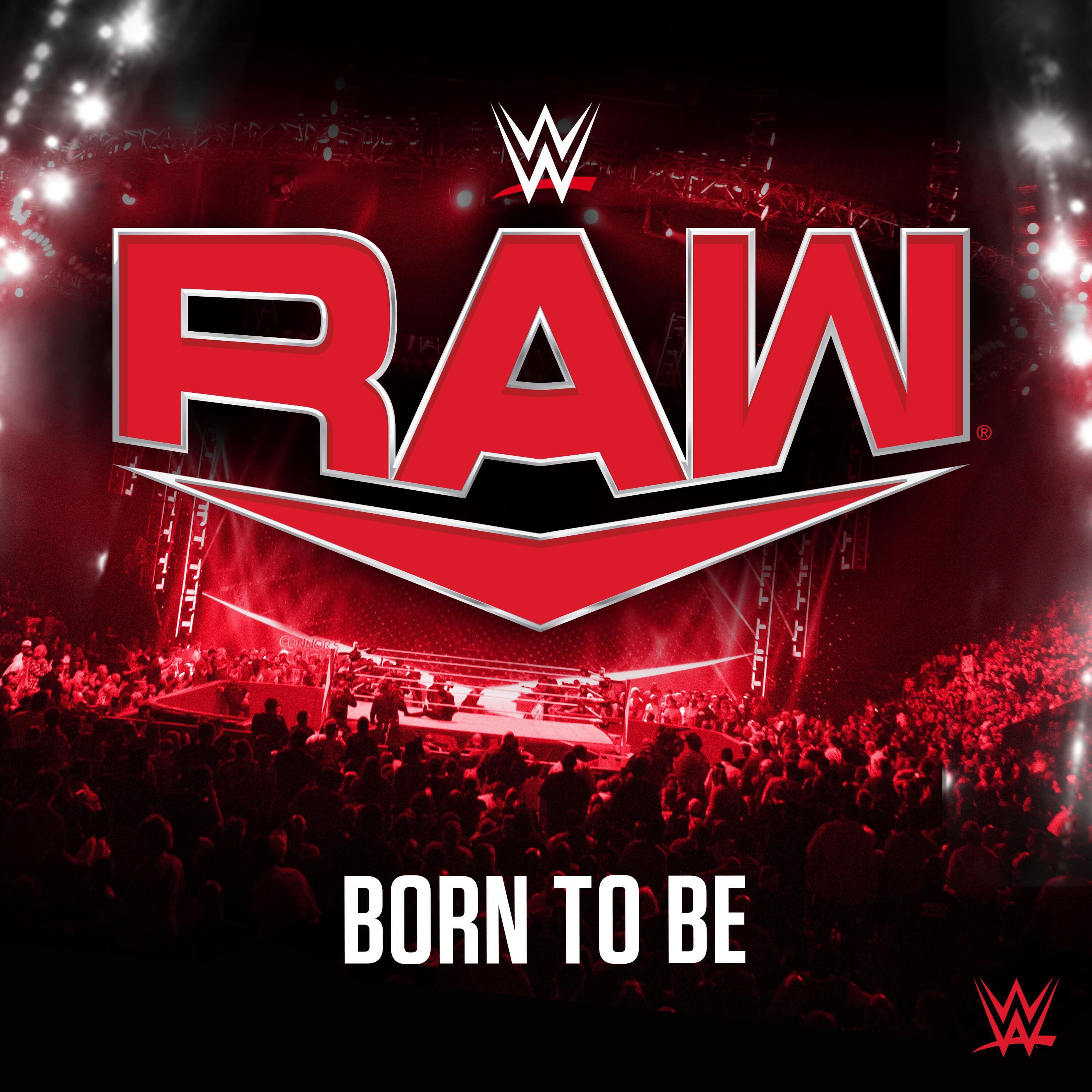 Релиз WWE: Born To Be (RAW)
