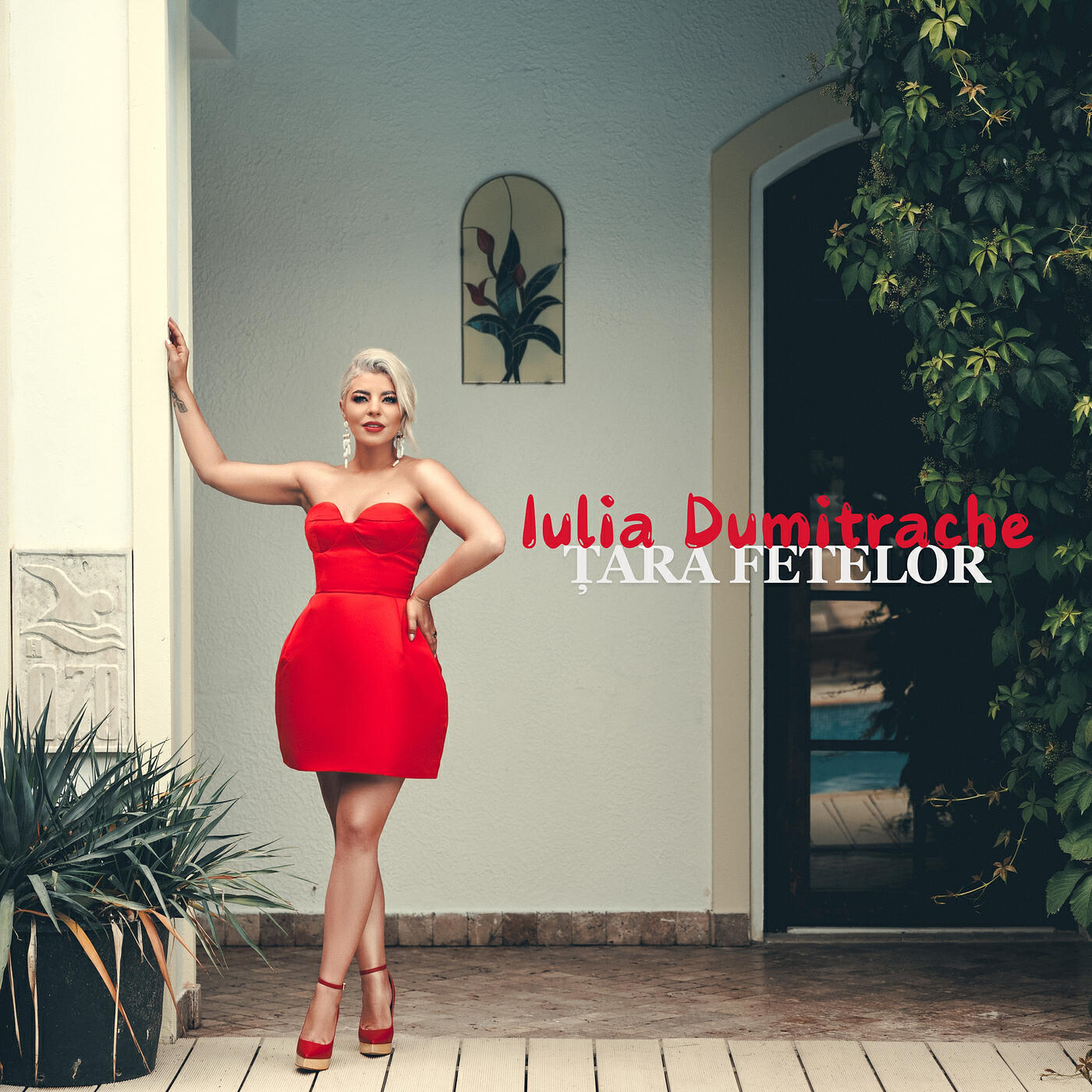 Релиз Țara Fetelor