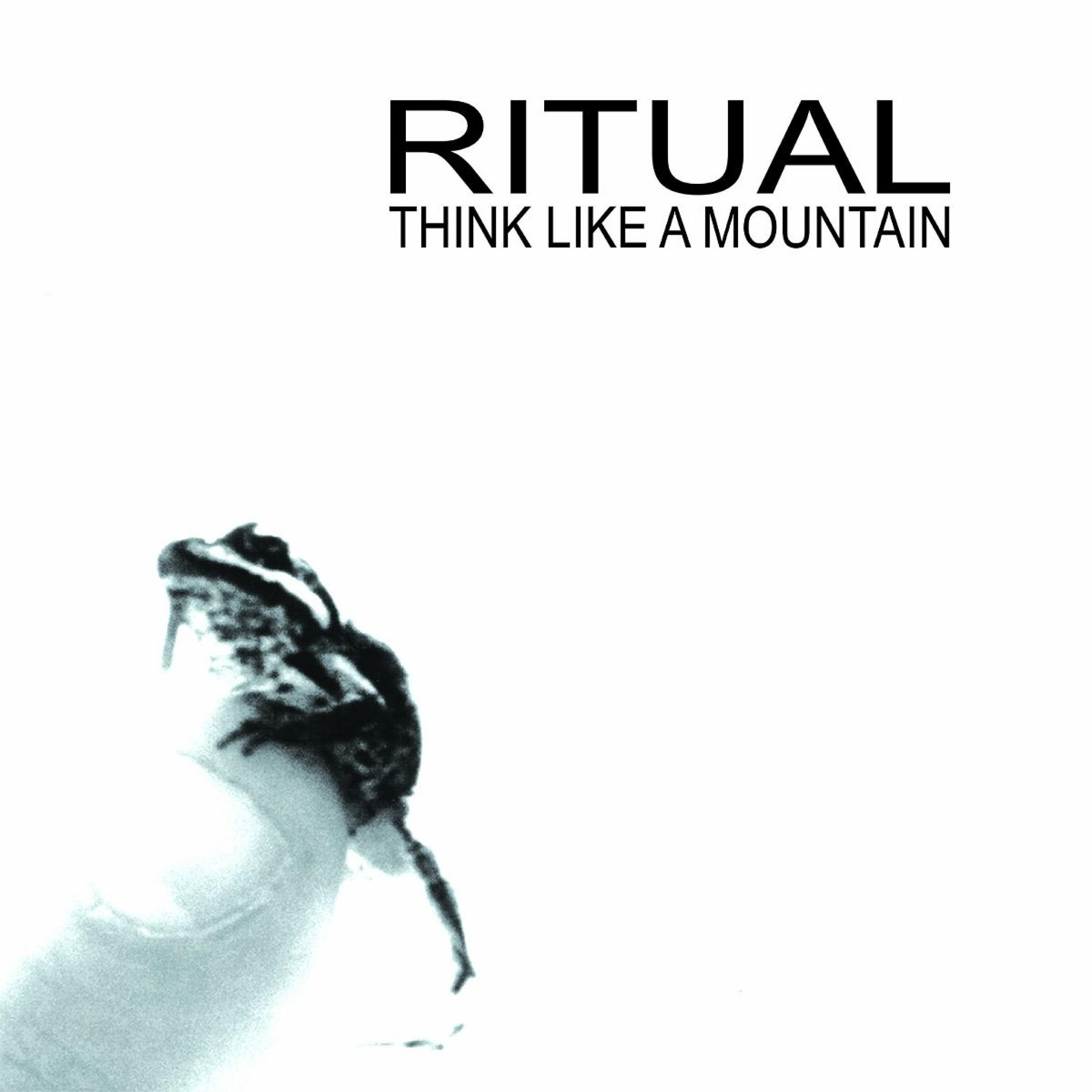 Релиз Think Like a Mountain