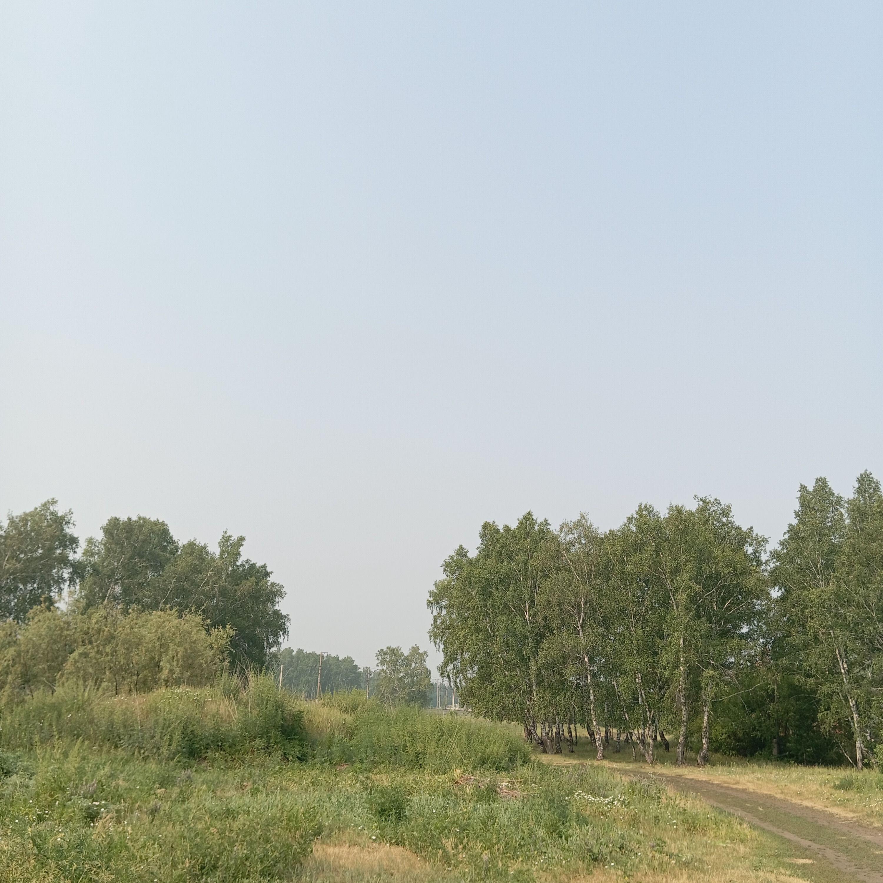 Алекс 55