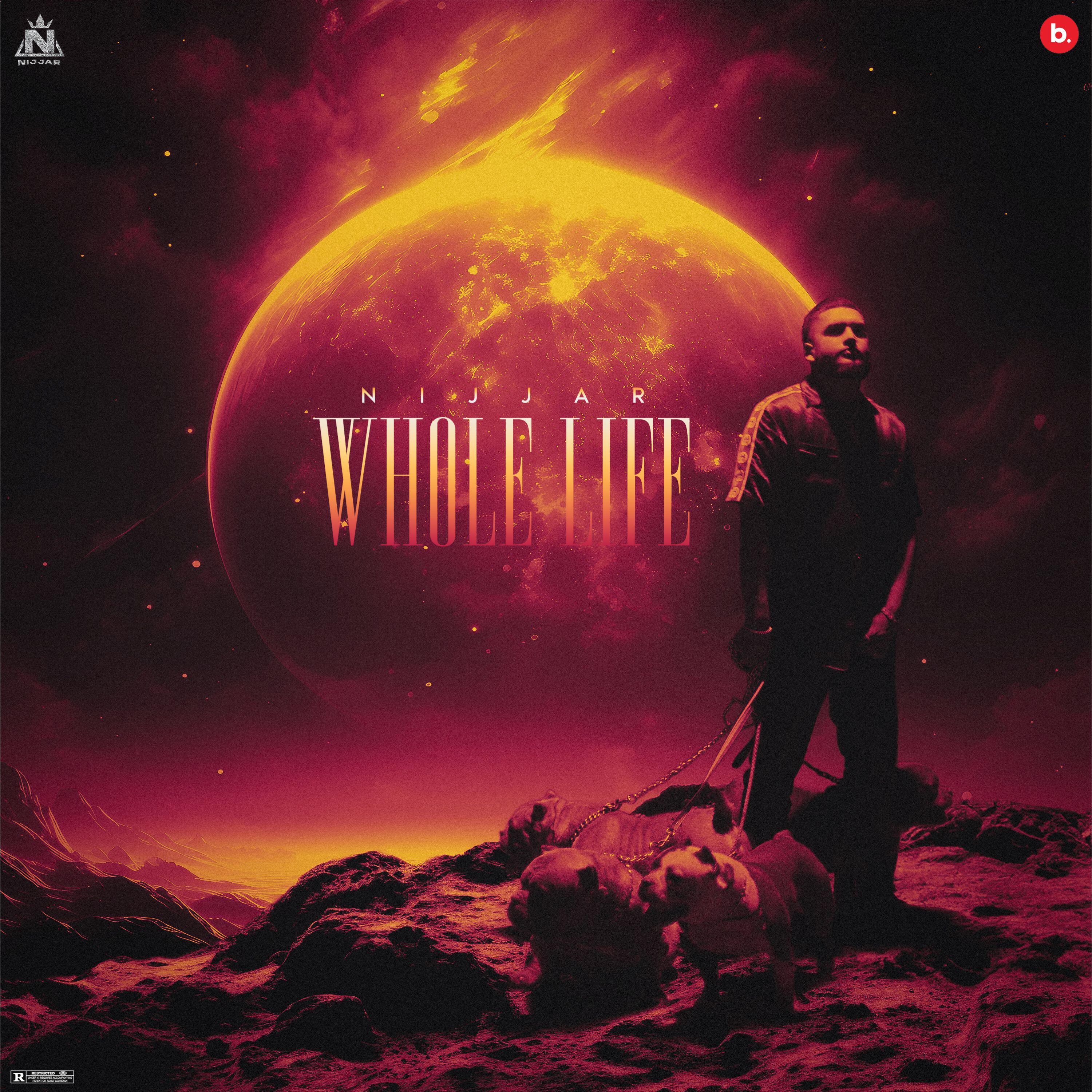 Релиз Whole Life