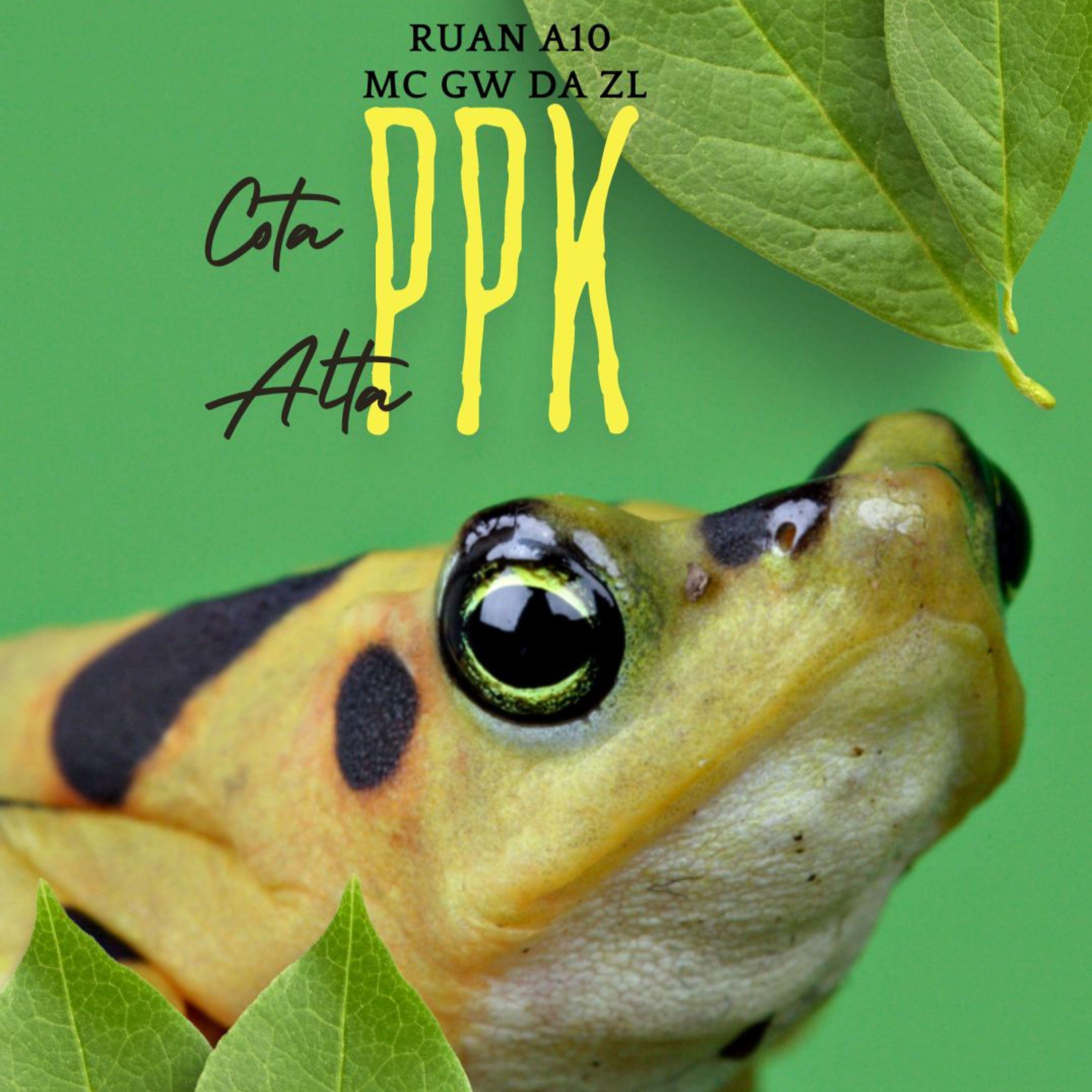 Релиз Cota Alta Ppk