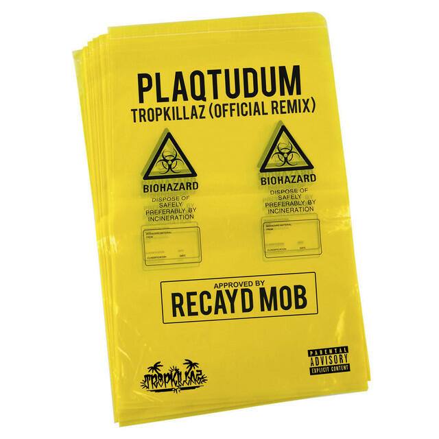 Релиз Plaqtudum (Tropkillaz Remix)