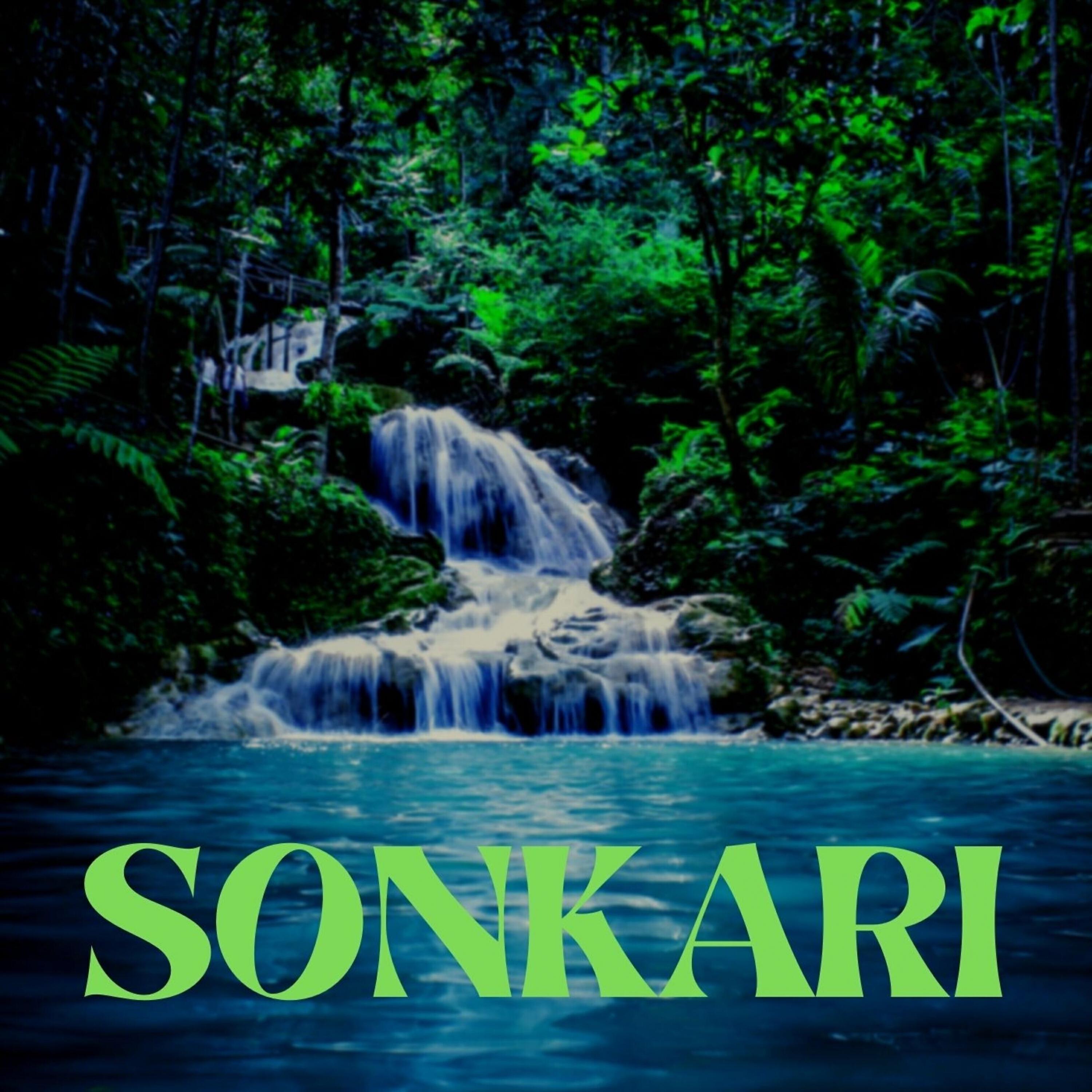 Релиз Sonkari