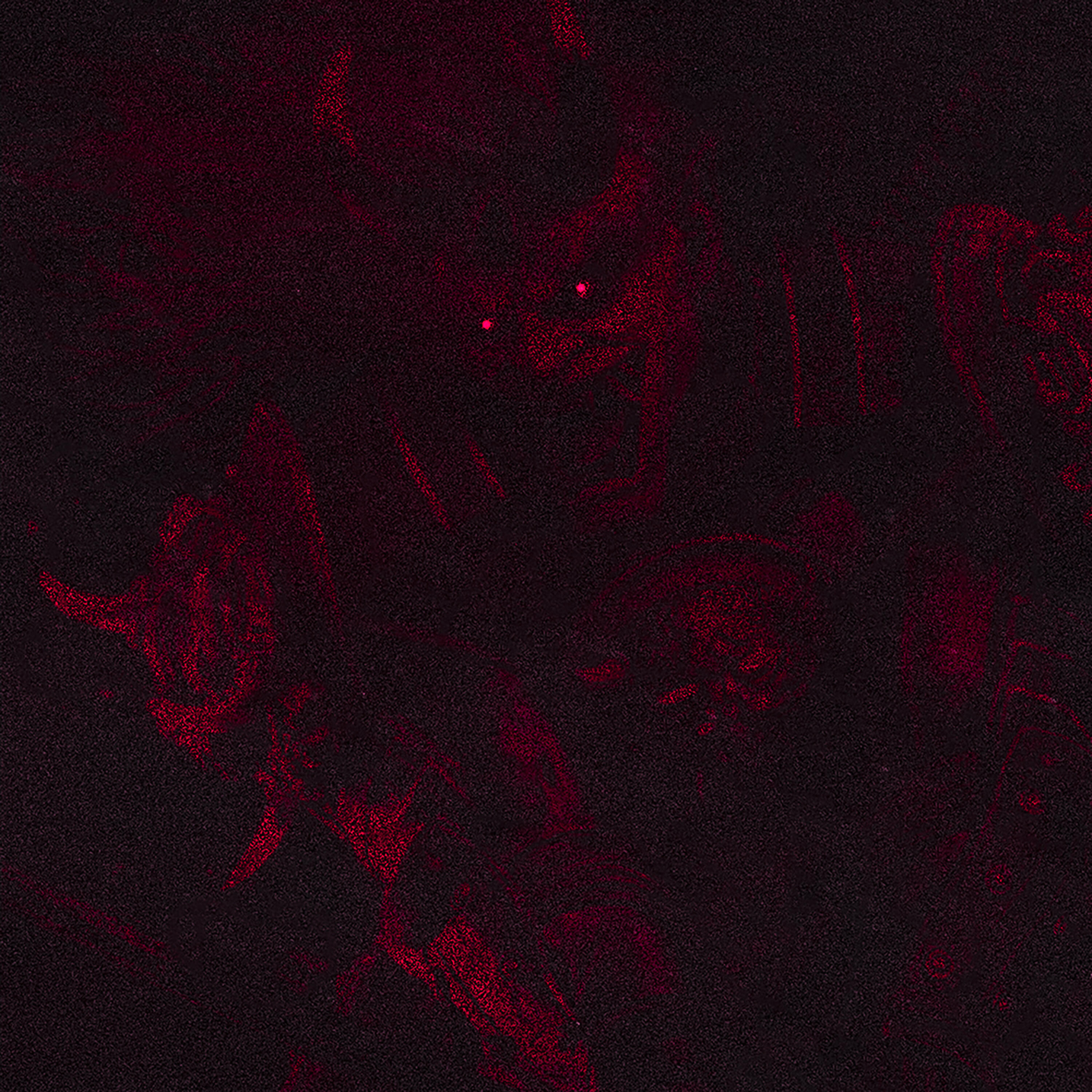 Релиз The Oni