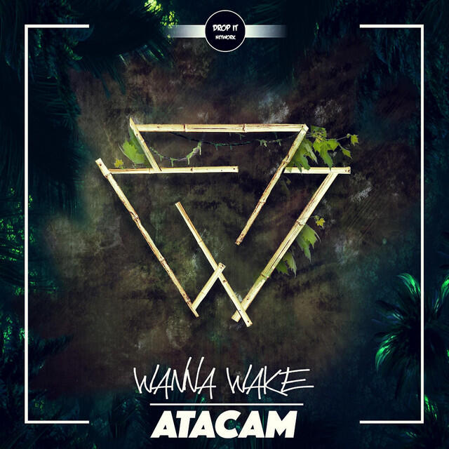 Релиз Atacam