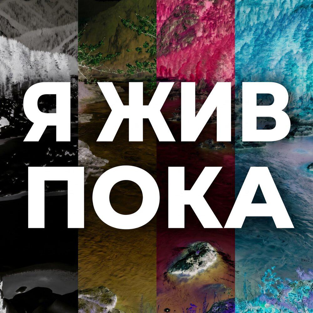Релиз Я жив пока