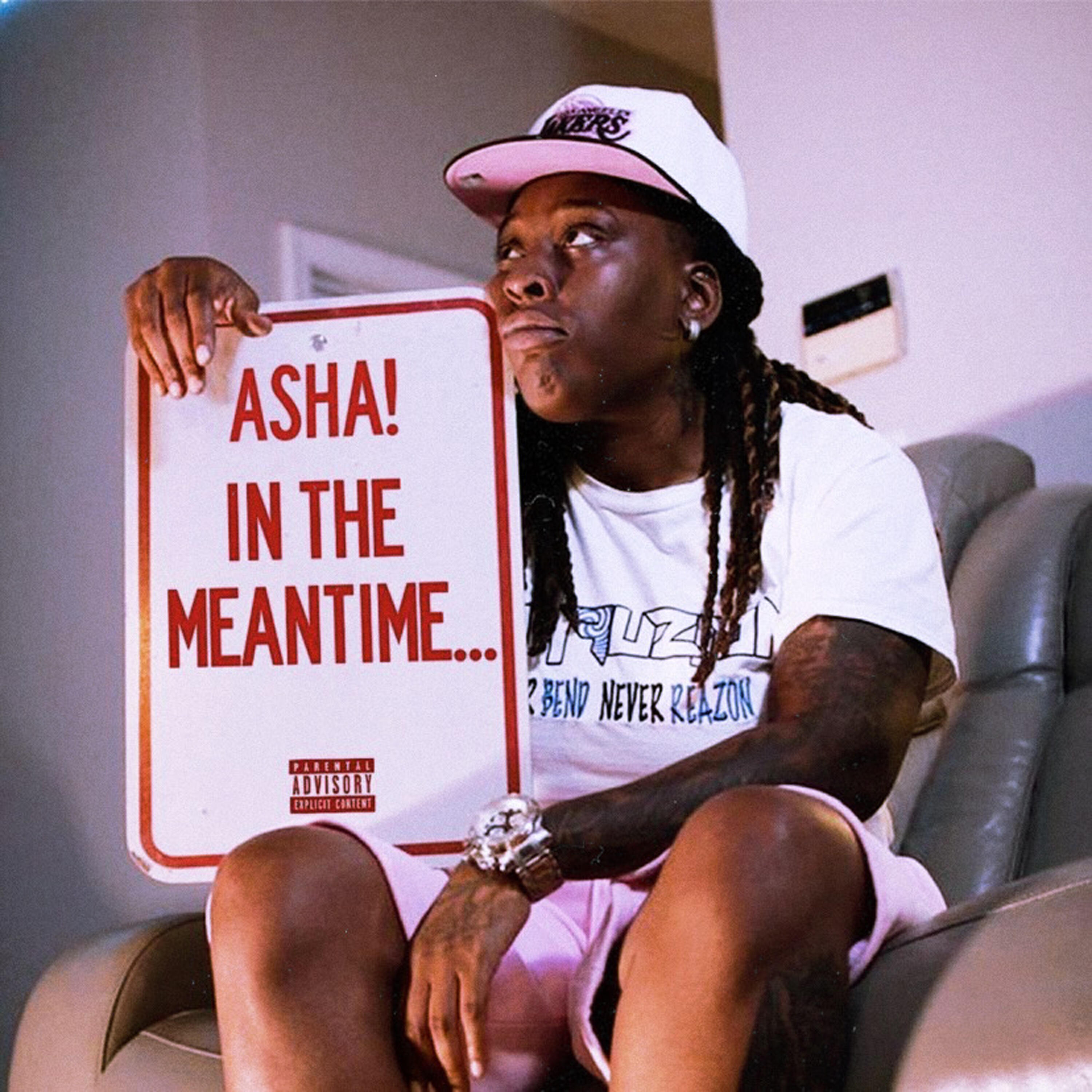 Релиз In the Meantime