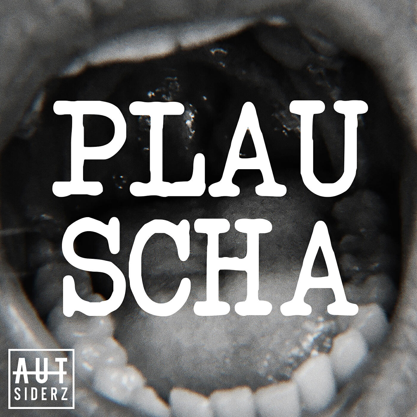 Релиз Plauscha