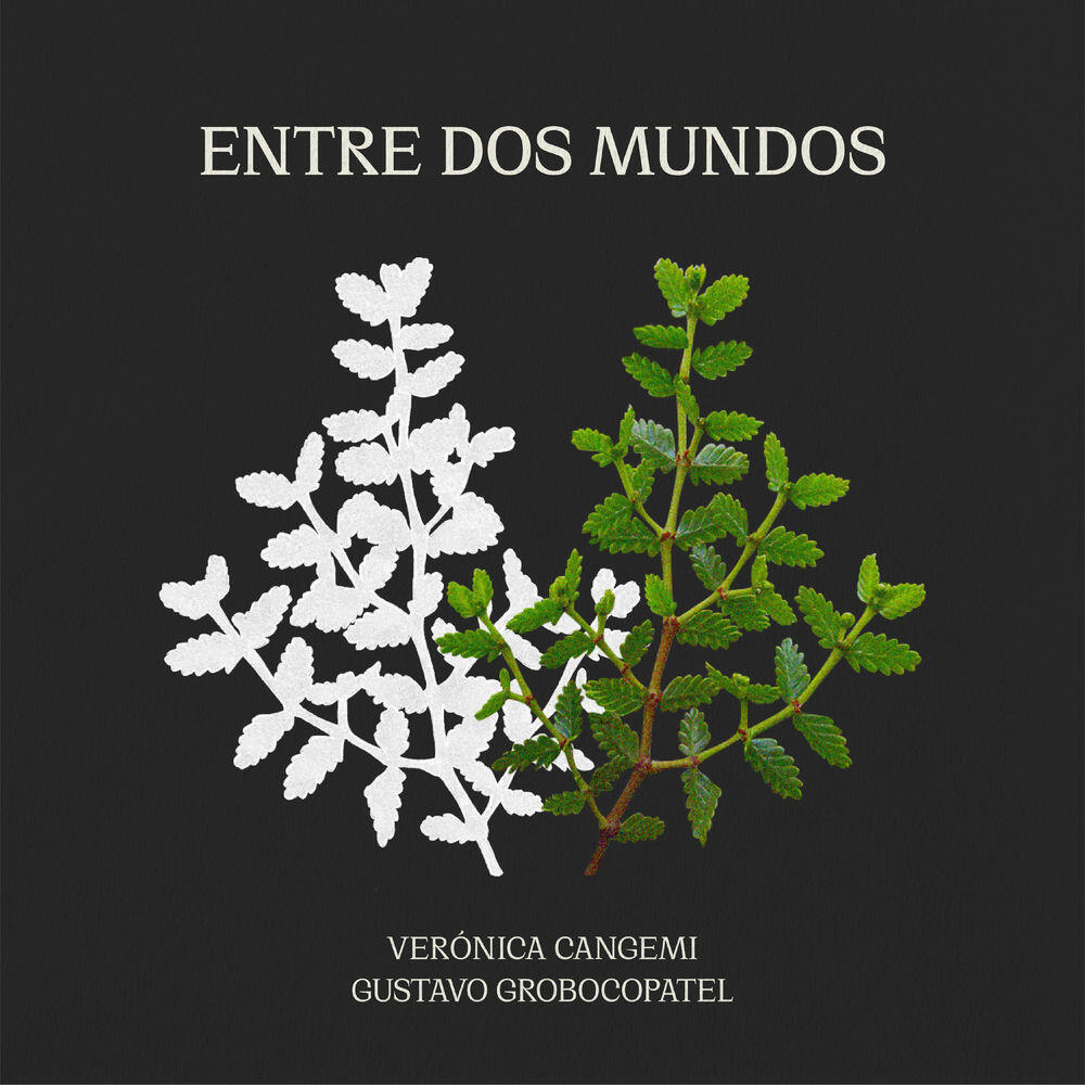 Релиз Entre Dos Mundos