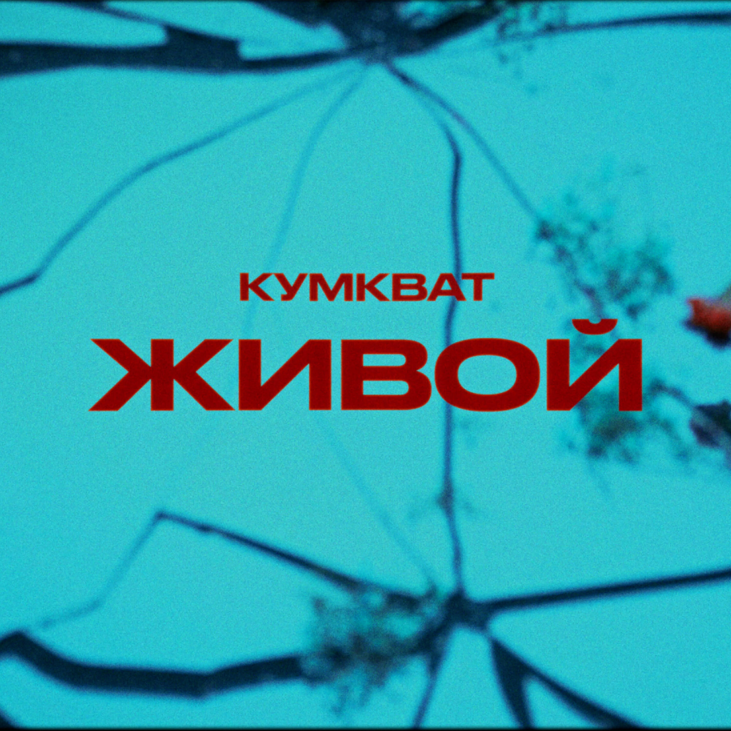 Релиз Живой