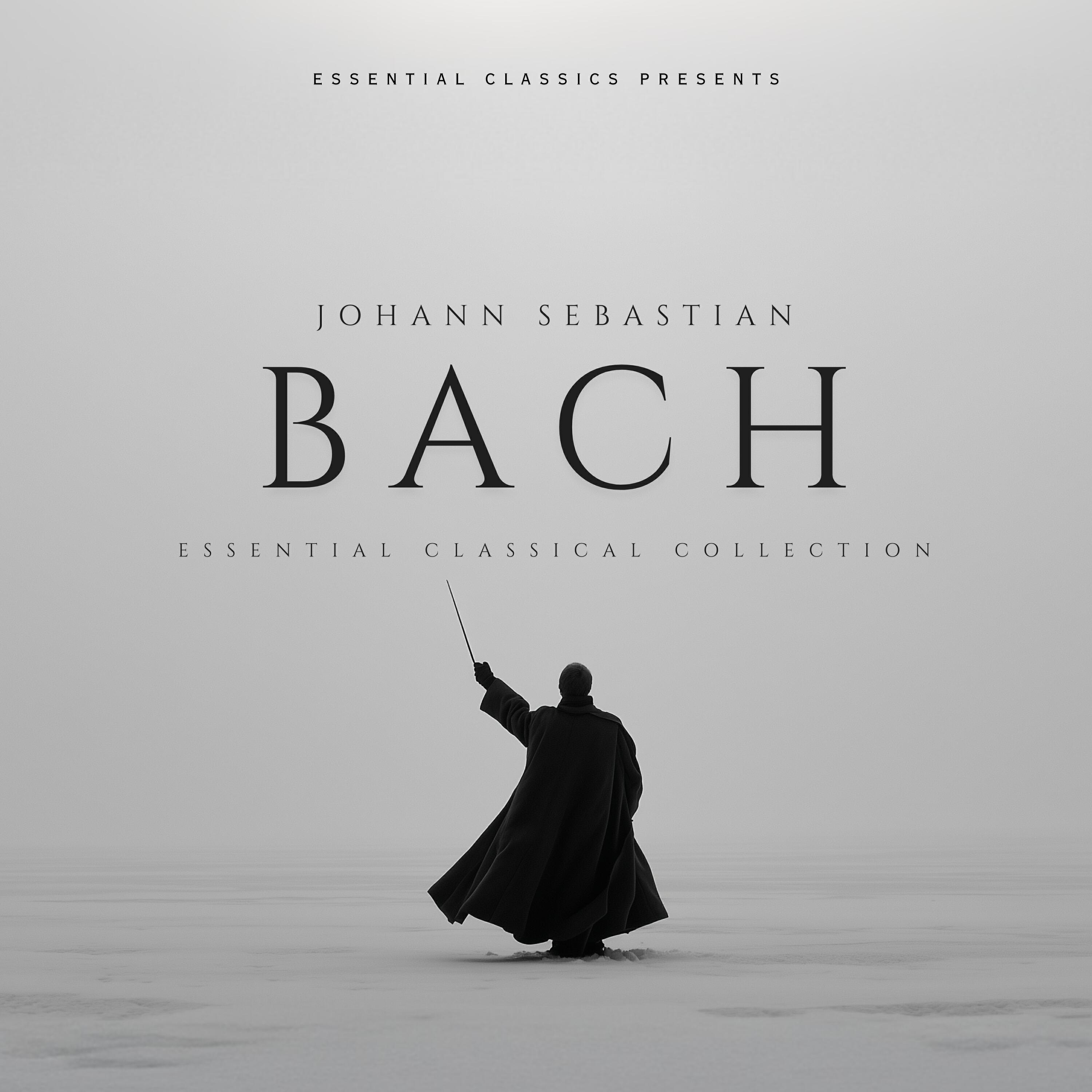 Релиз Johann Sebastian Bach