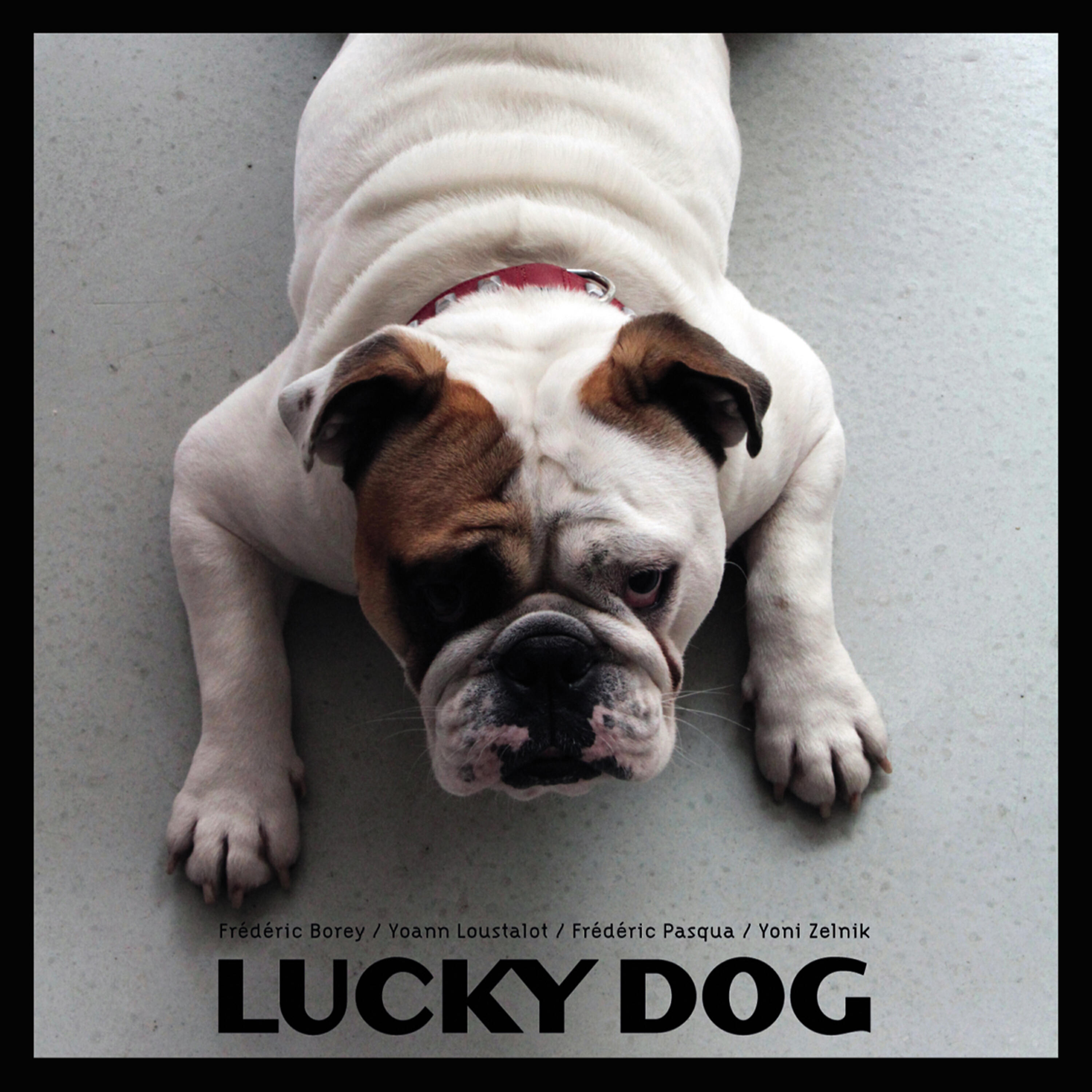 Релиз Lucky Dog