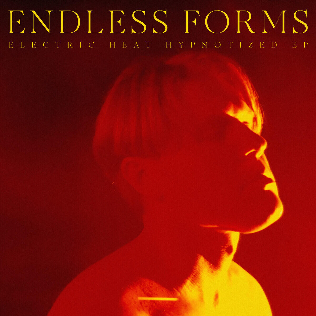 Endless Forms