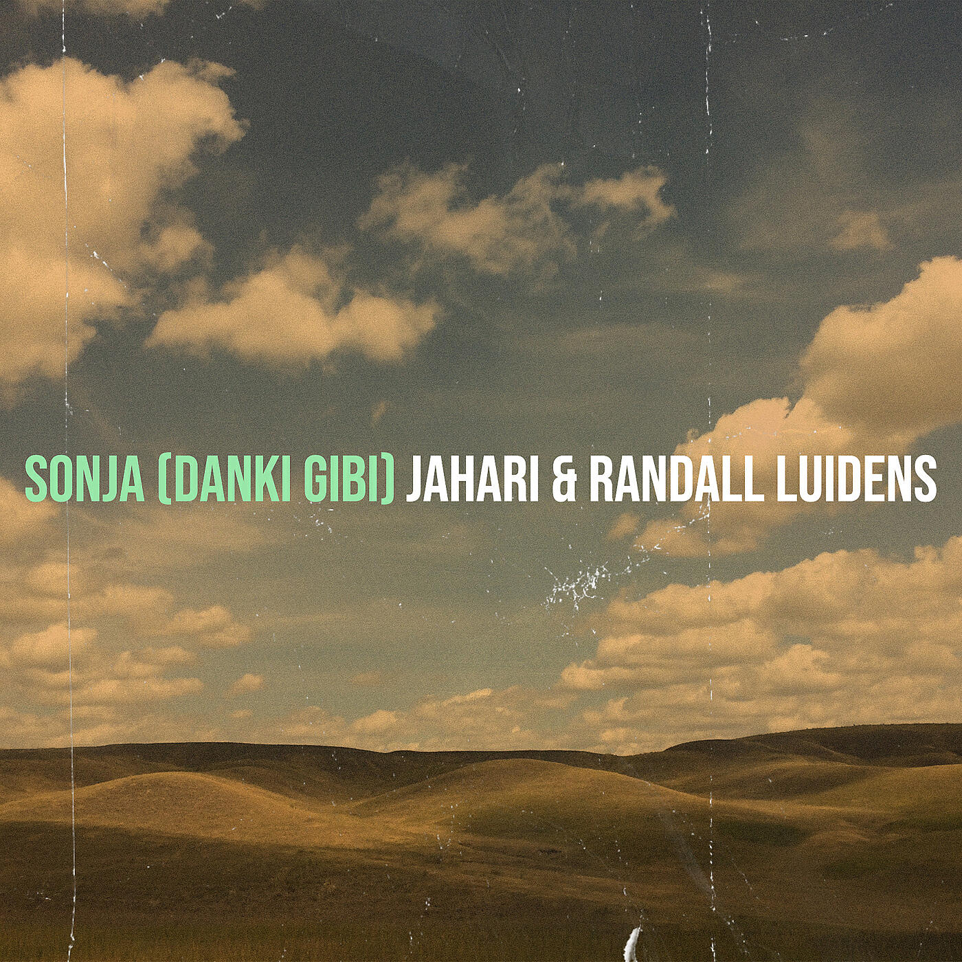 randall luidens