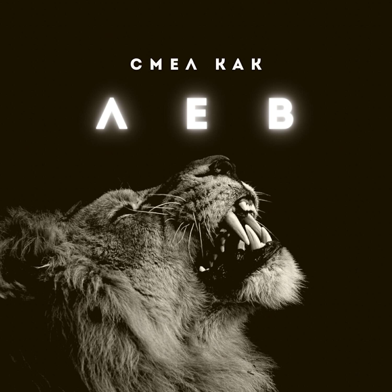 Постер альбома Лев