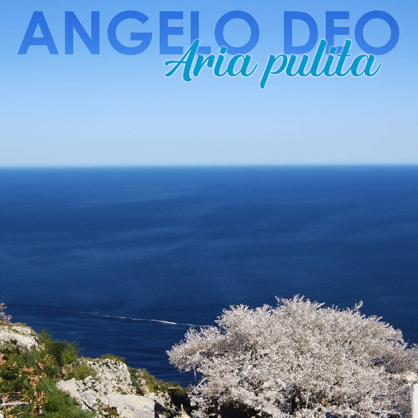 Релиз Aria pulita