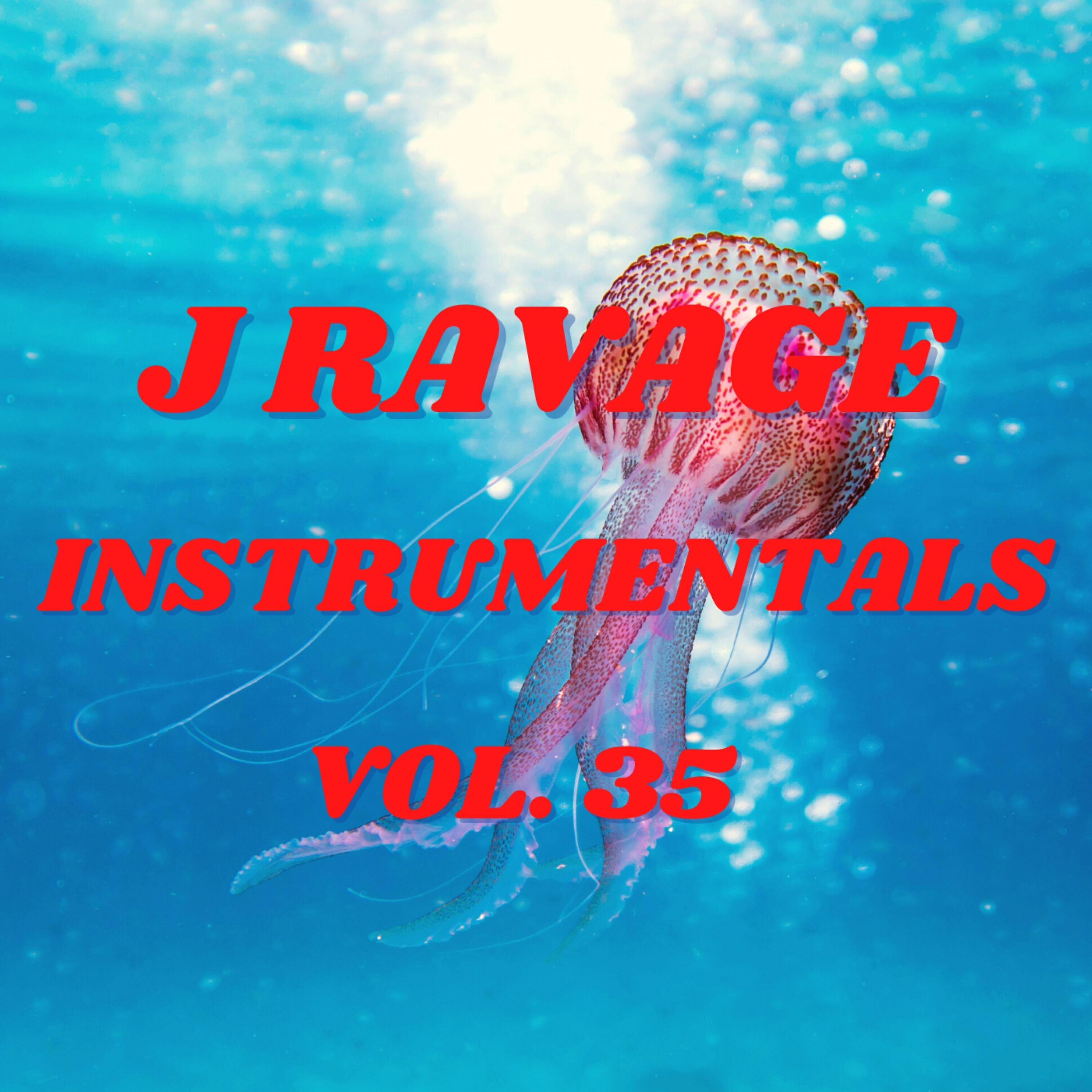 Релиз J Ravage Instrumentals, Vol. 35