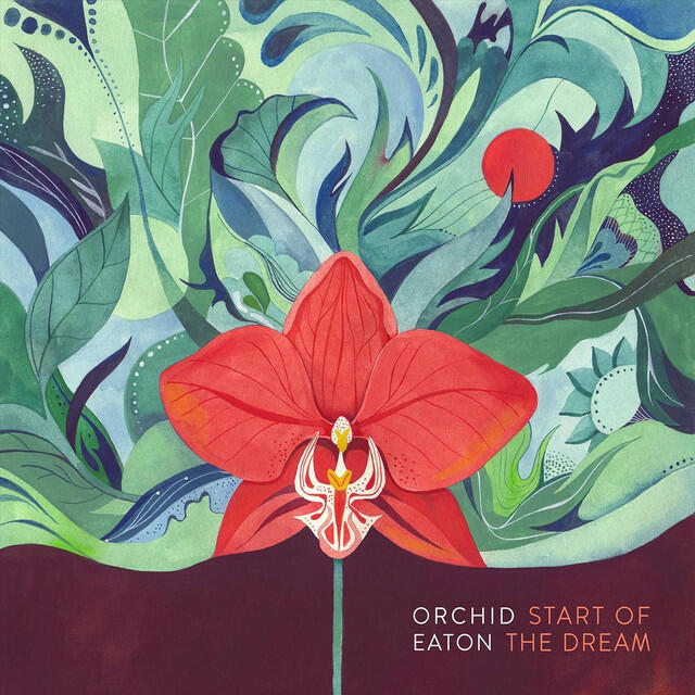 Релиз Start of the Dream