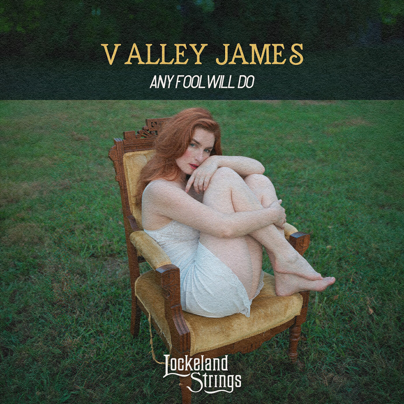Релиз Any Fool Will Do