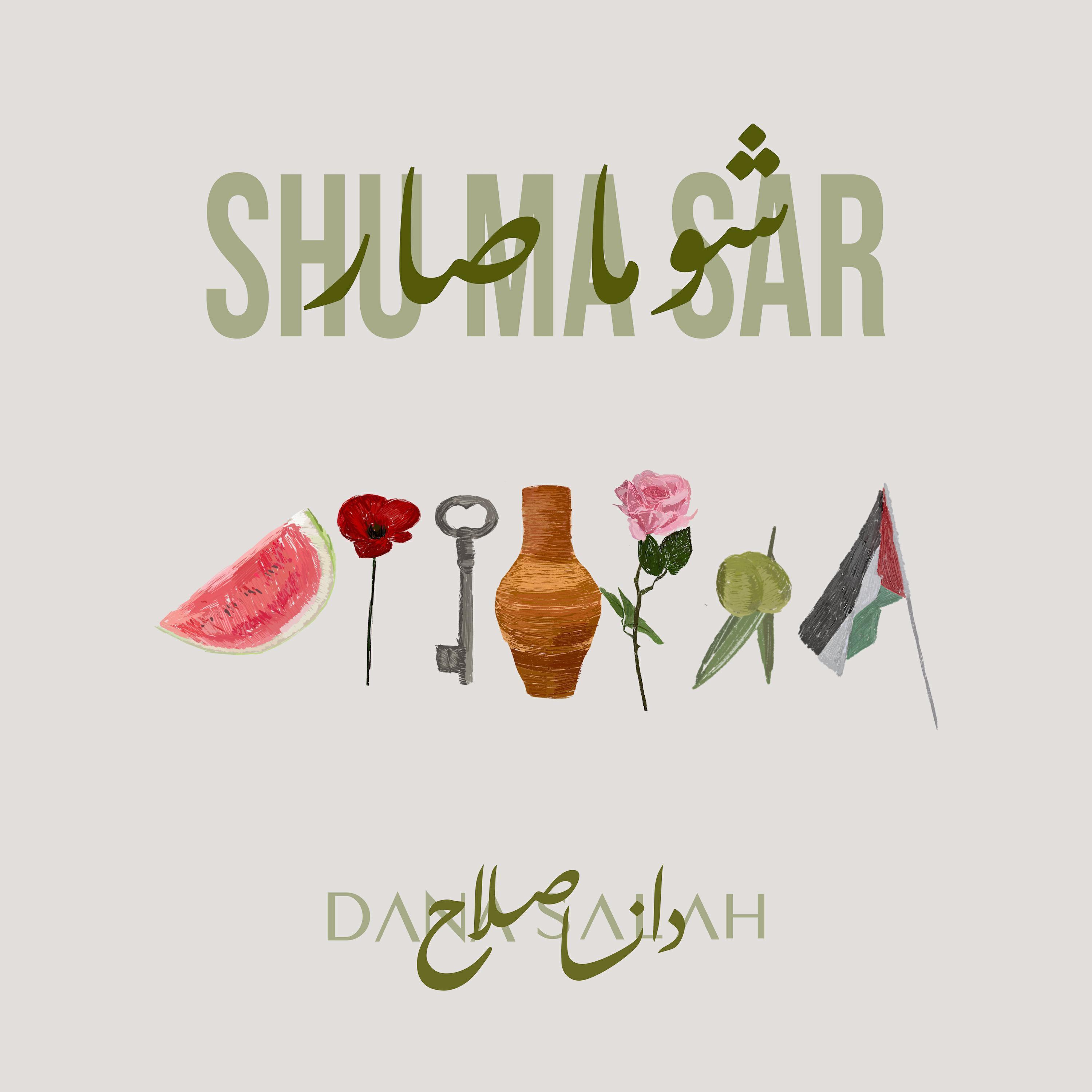 Dana Salah