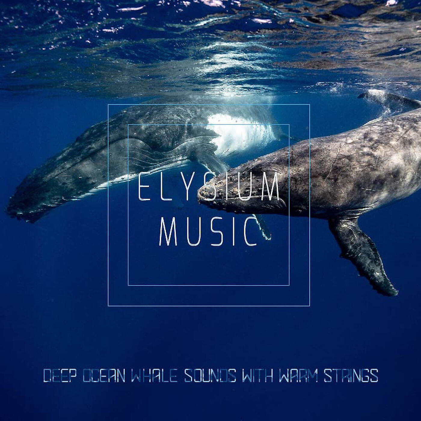 Релиз Deep Ocean Whale Sounds With Warm Strings