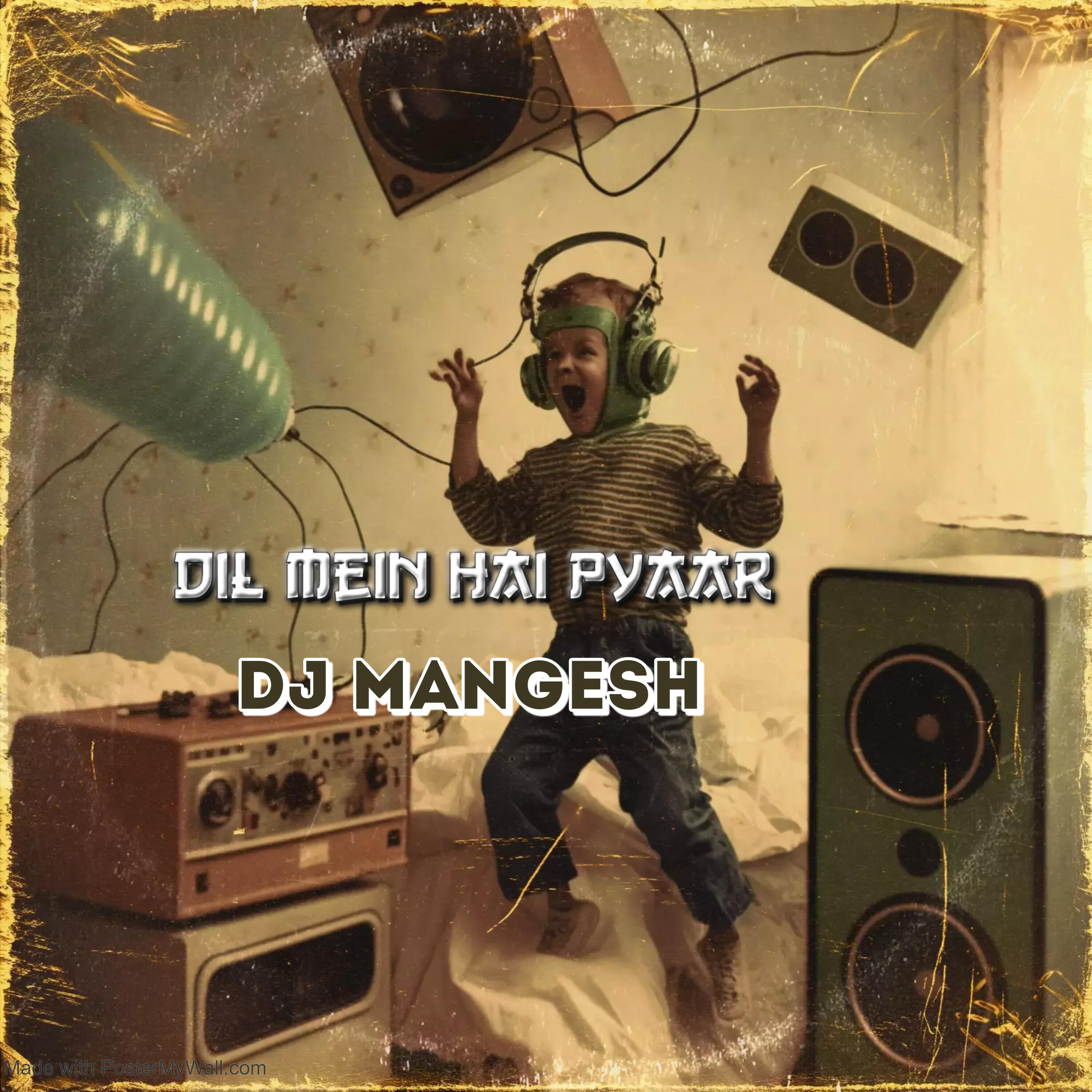 Постер альбома DIL MEIN HAI PYAAR (REMIX)